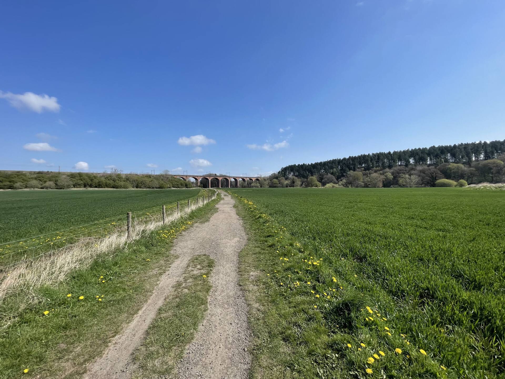 Croxdale Viaduct, near Sunderland Bridge