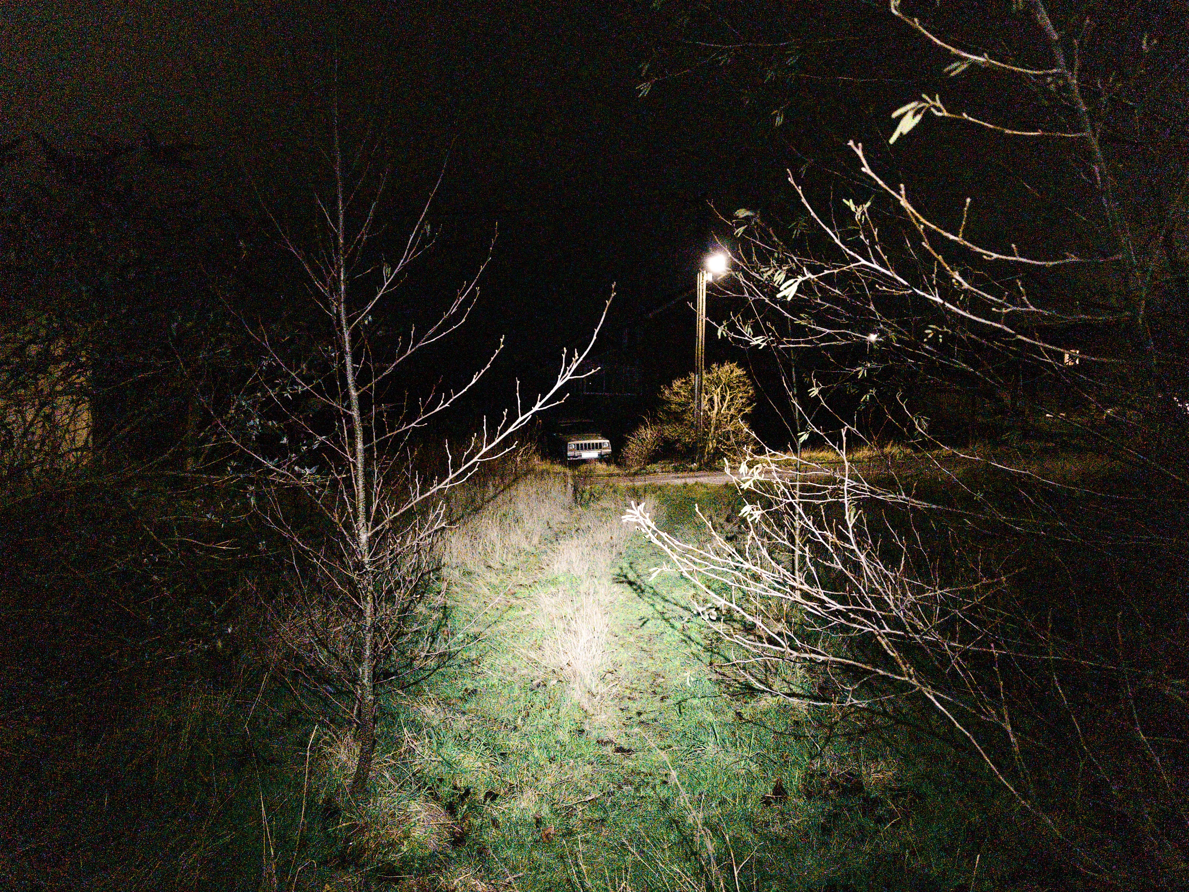 A grassy path at night illuminated by a head torch, framed by bare winter tree branches on either side. A streetlight glows in the distance where a parked Jeep Cherokee is visible at the end of the path.