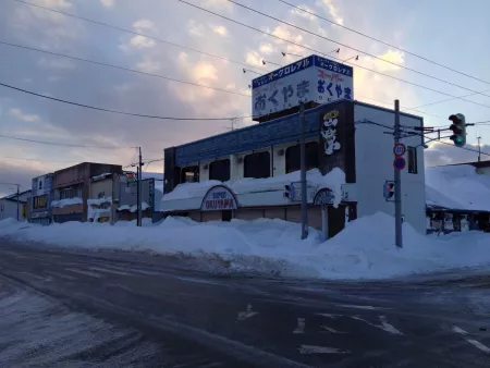 in related news, i used snowbanks like these to climb onto the roof of my house