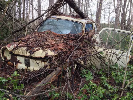 score one for nature, another point there nature's on a roll