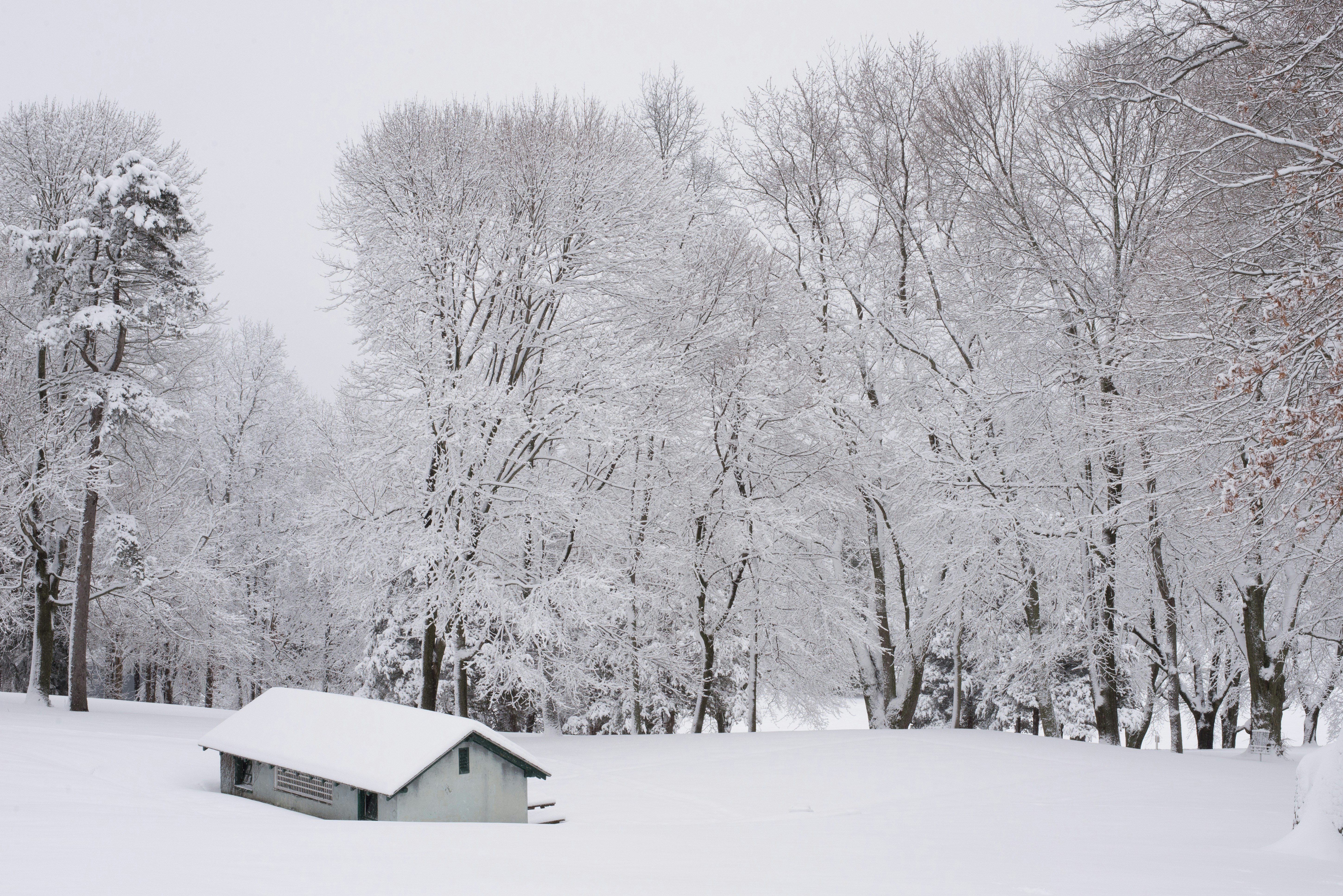 A small house with a snow-covered roof sits in a winter landscape surrounded by bare trees heavily laden with snow under an overcast sky.
