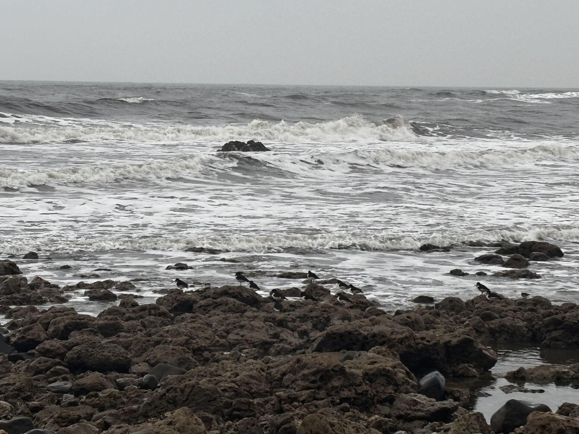 White waves on a grey sea, with some slimy rocks in the foreground exposed by the receding tide