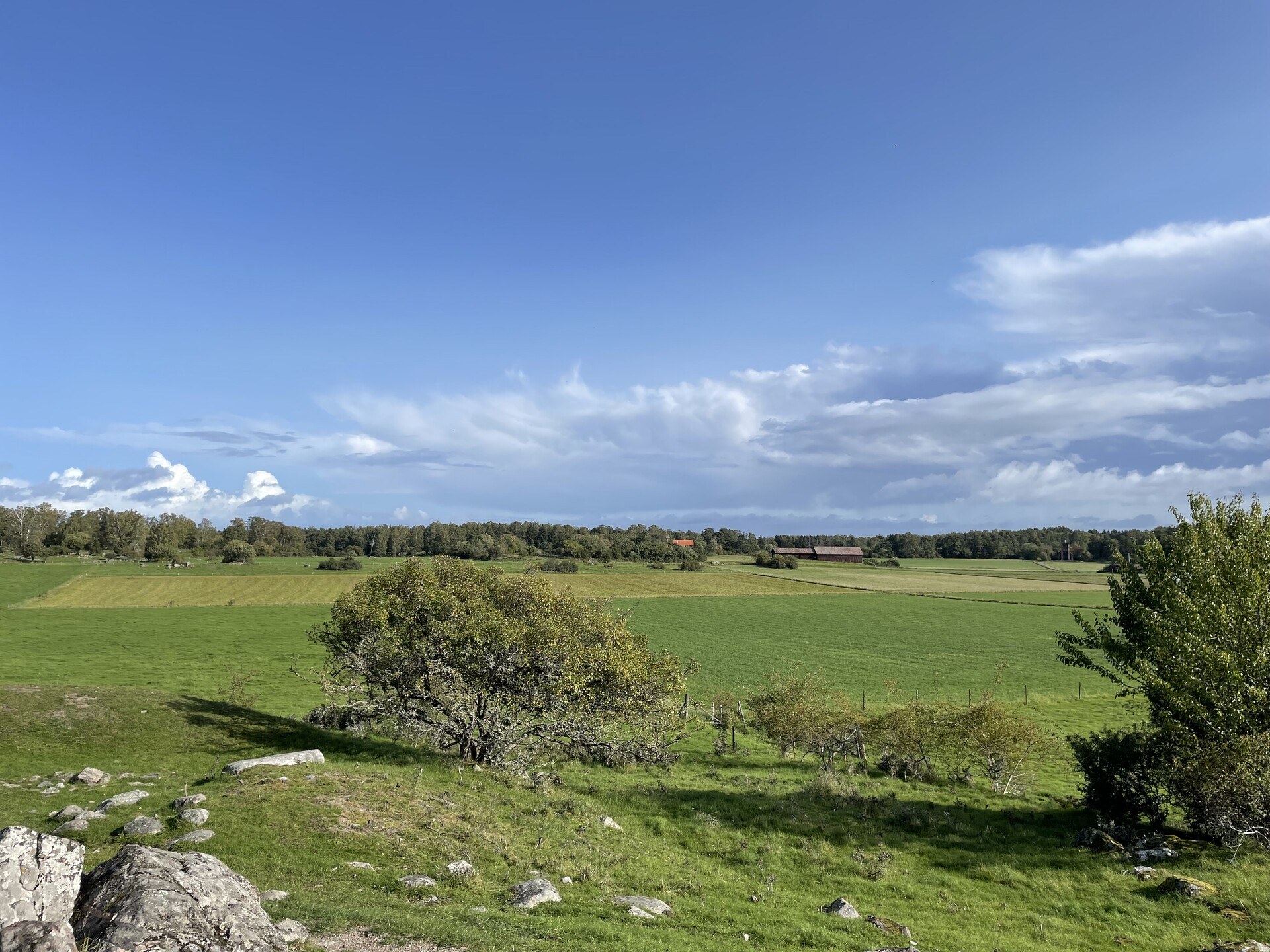 Looking down on a broad green field with a forest in the background and some farm buildings off to the side