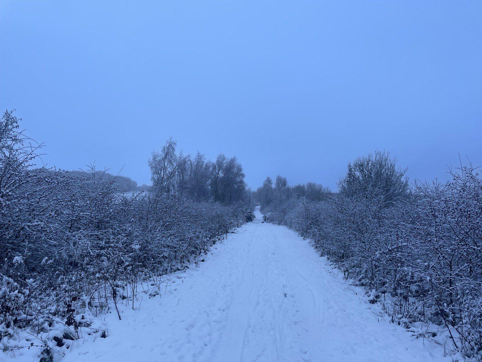 A path covered thick with snow disappears in the distance, flanked on both sides by low bushes, leafless and crusted with ice