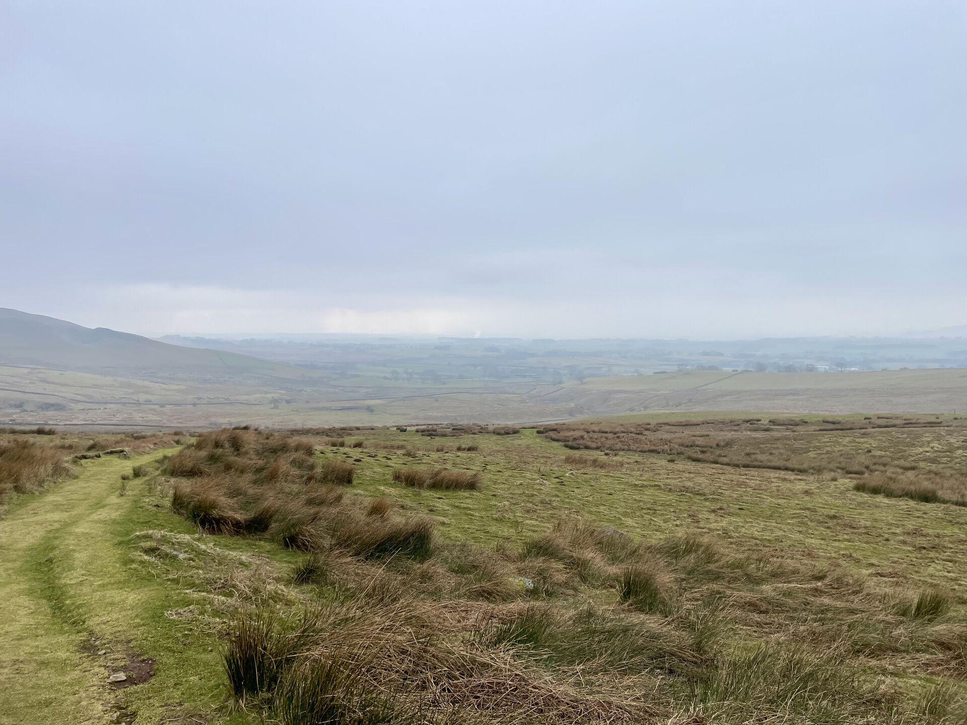 A panoramic view of a grassy landscape under a cloudy sky. The foreground features a winding path through tall grass, leading into the distance where rolling hills and fields can be seen. The overall atmosphere is calm and slightly overcast, suggesting a cool day.