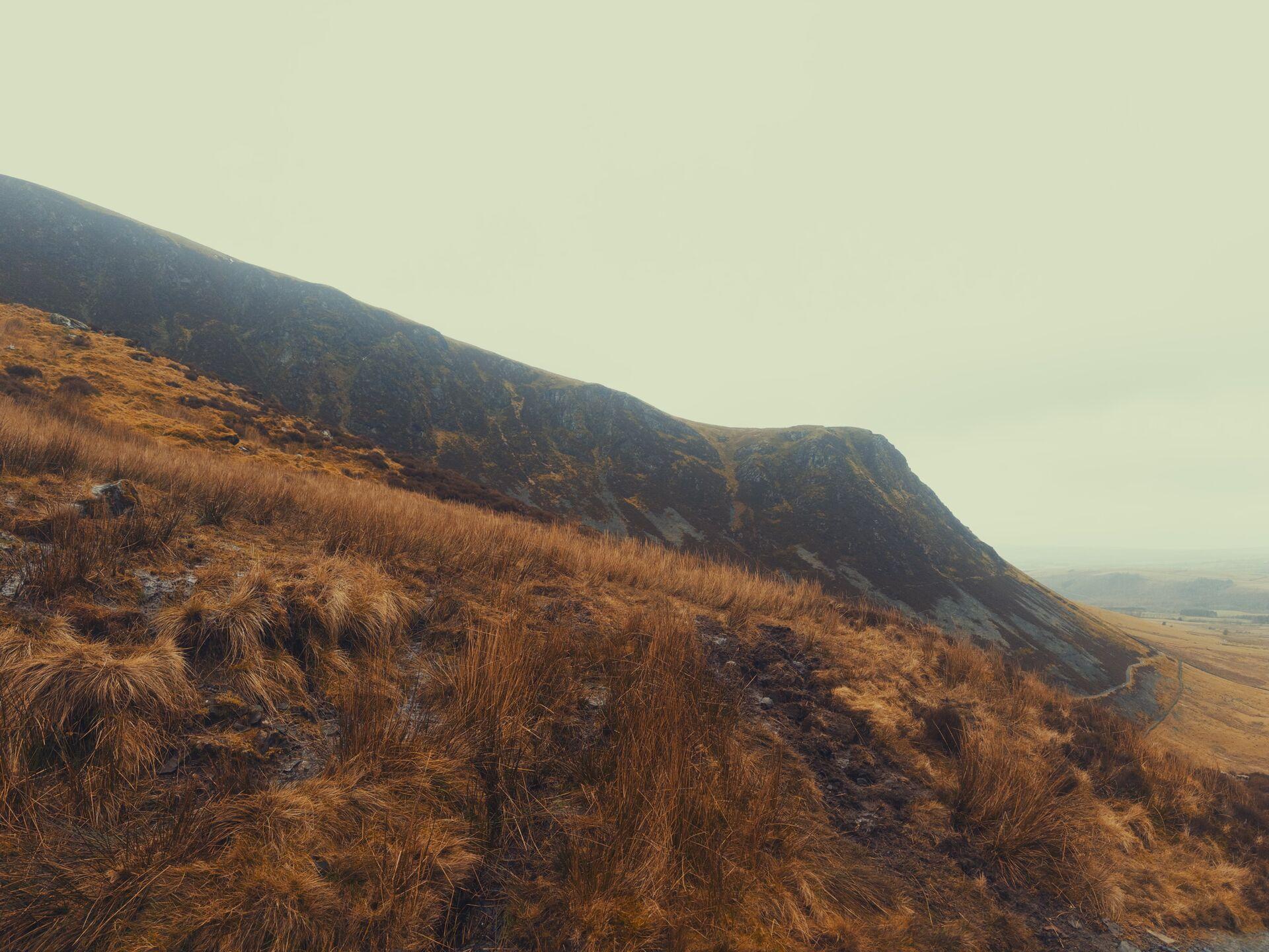 A craggy ridgeline in fog; low sedge on a sloping hillside in the foreground