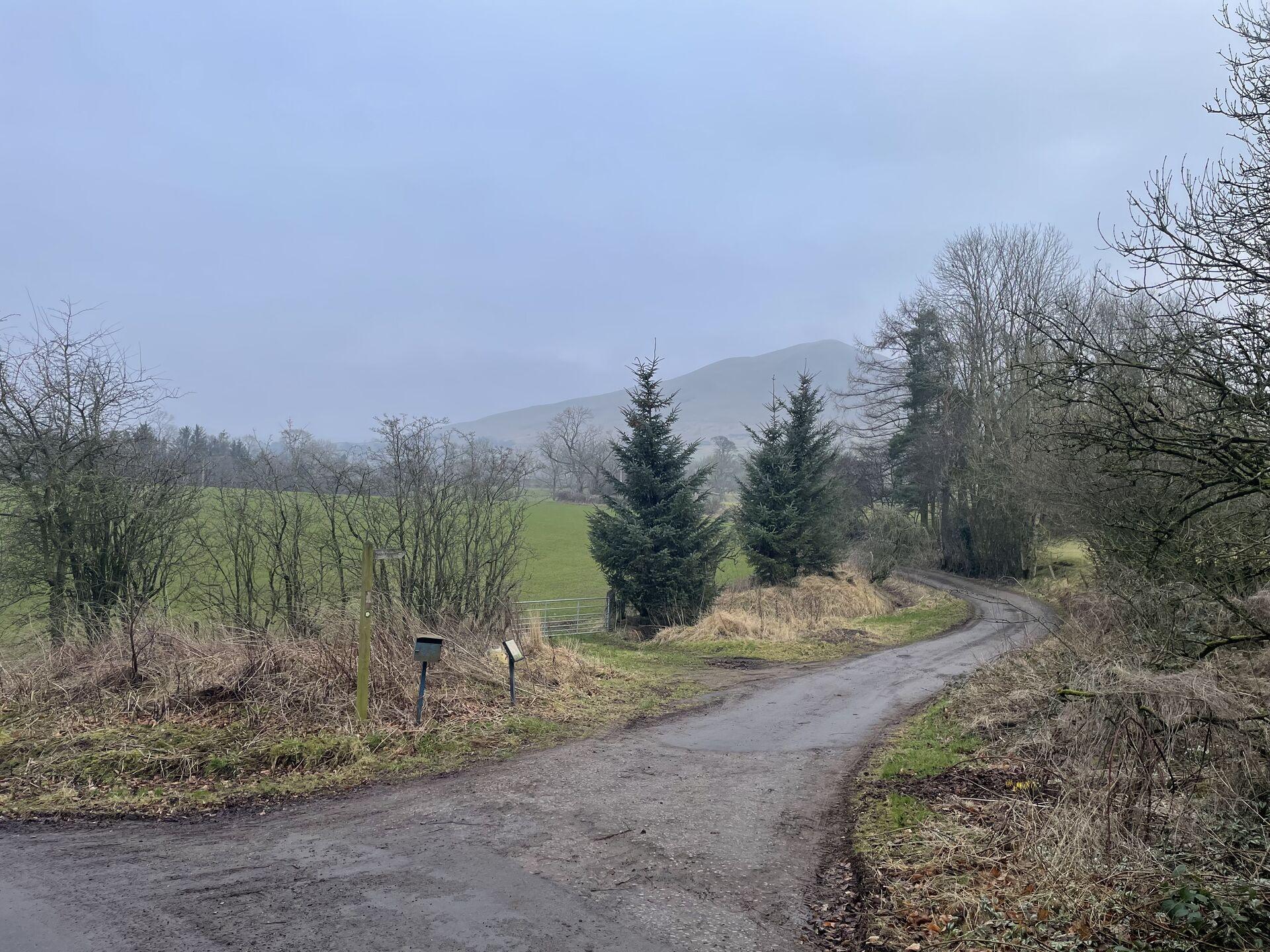 A winding gravel road leads through a foggy landscape with green fields on the left and trees on both sides. In the distance, there are hills under a cloudy sky.