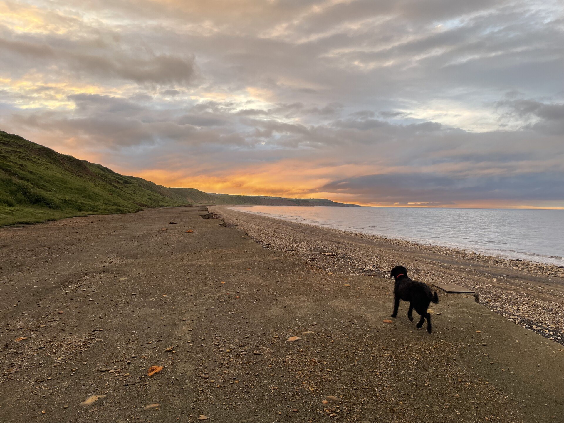 Ghyll wandering down the beach with a sunset off in the distance
