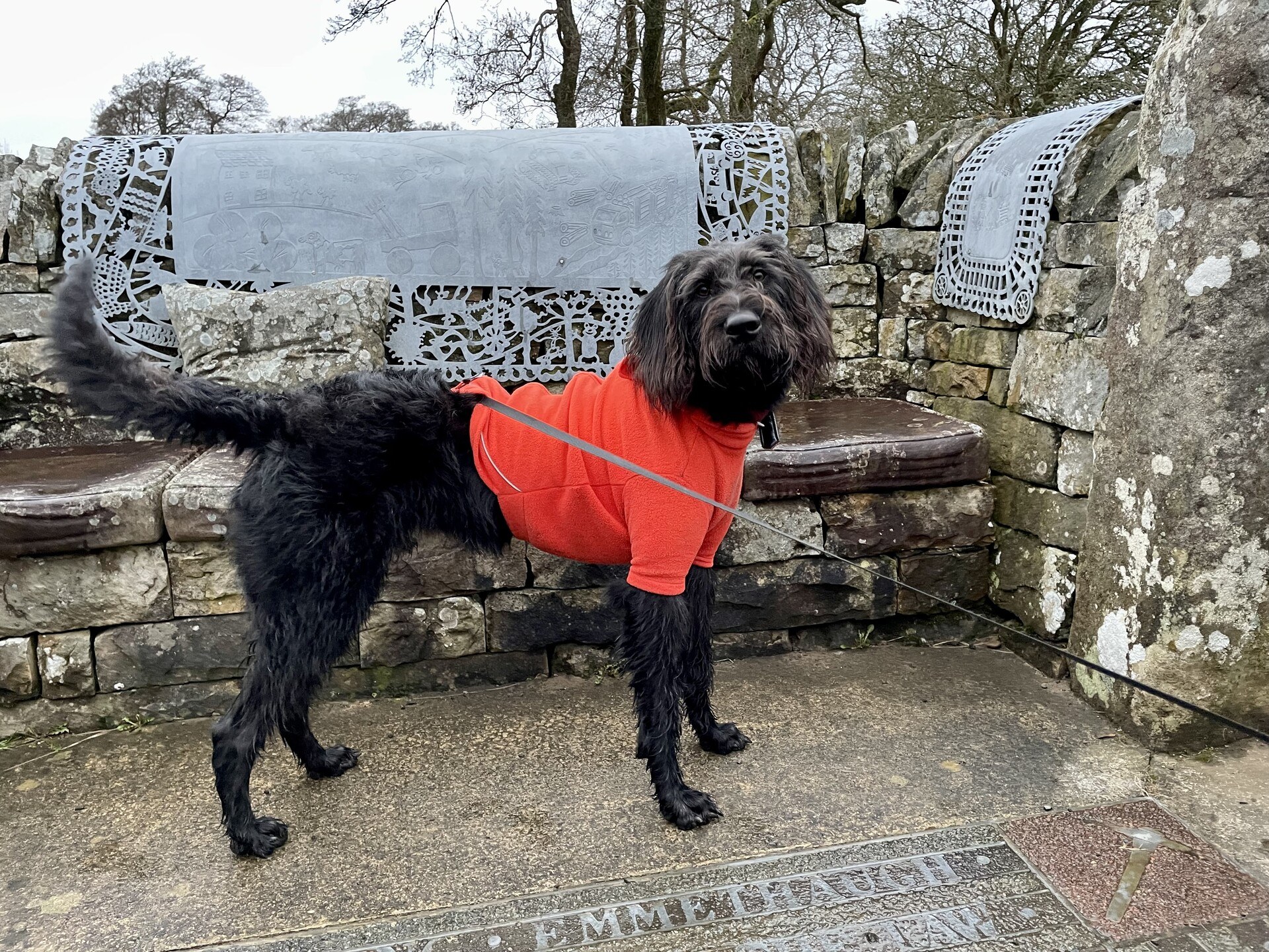 Ghyll wearing an orange dog coat, standing by a settee sculpted from stone
