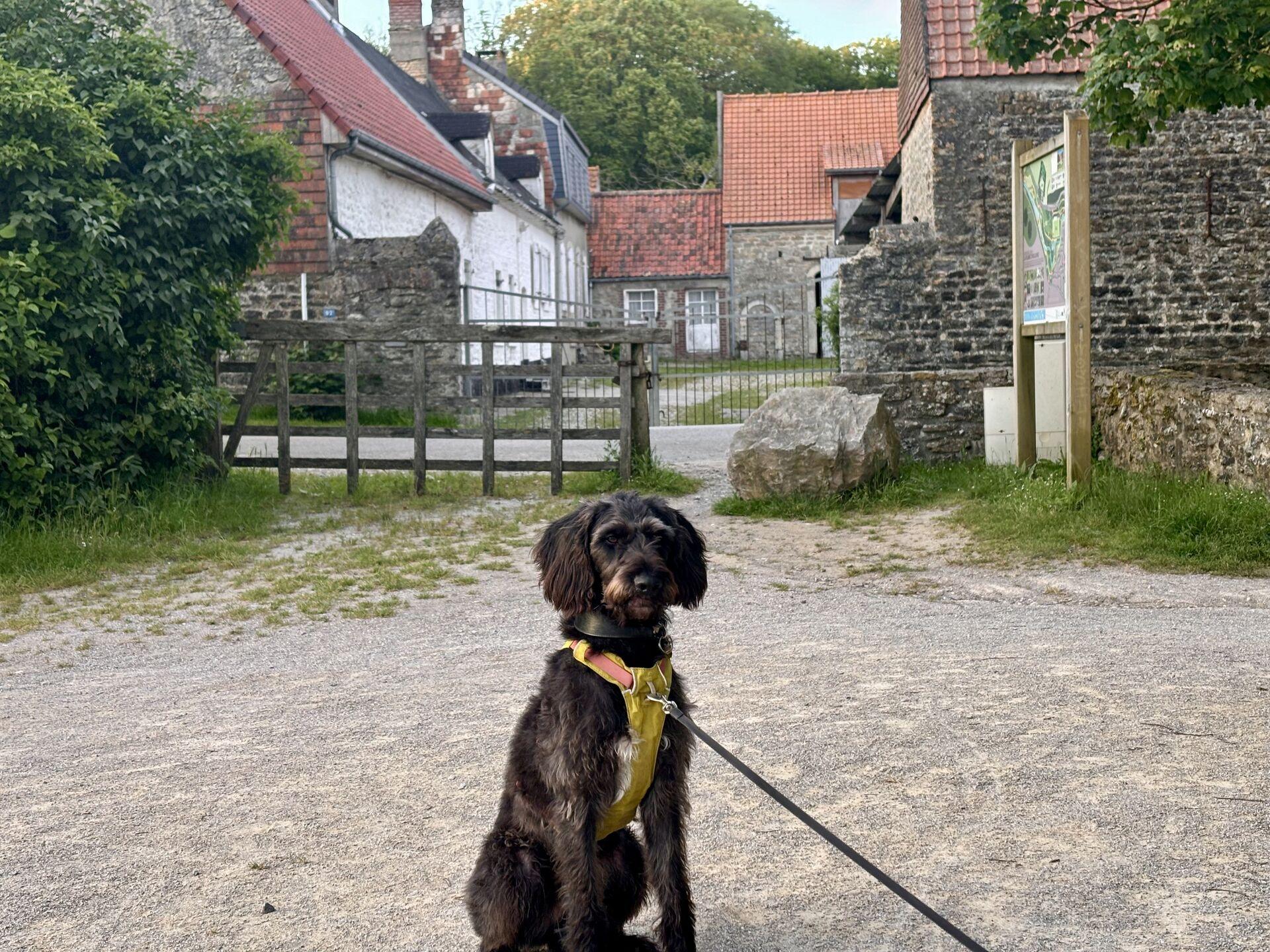 Ghyll in front of an old stone farmhouse in Wimille