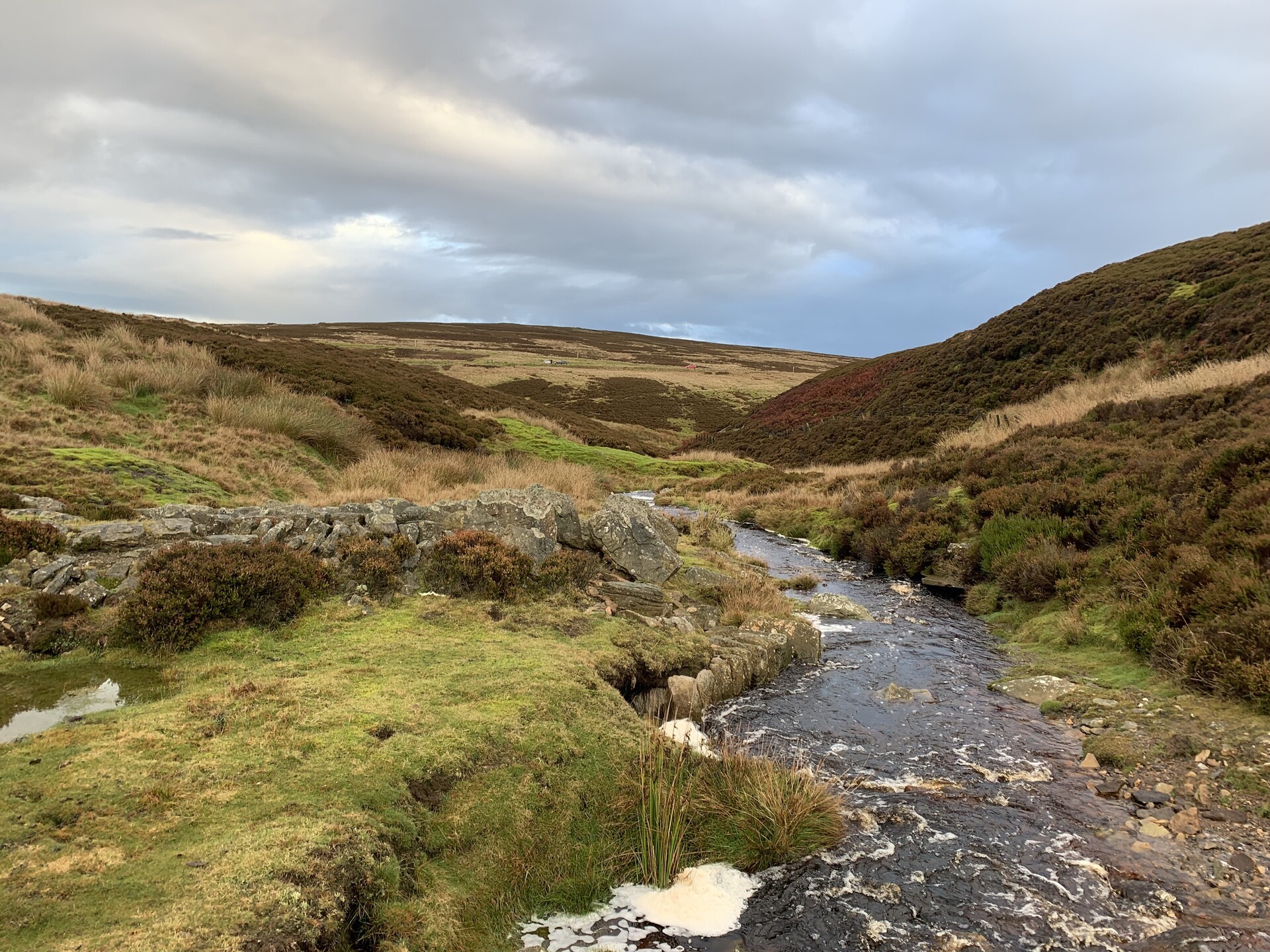 A beck winds down between mine workings above Hamsterley Forest, in County Durham