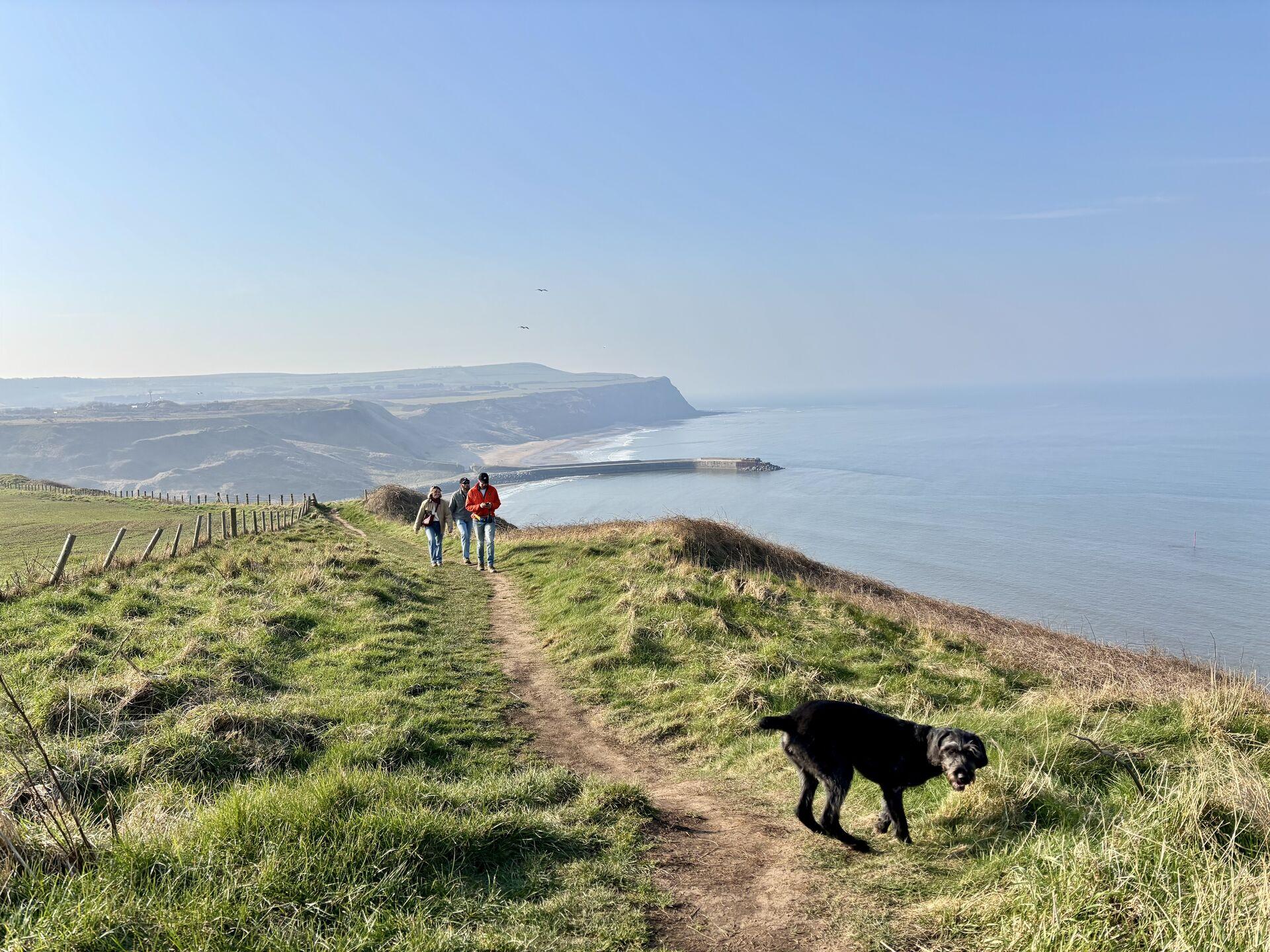 People walking along a grassy coastal path with a dog in the foreground, overlooking the ocean and cliffs in the distance