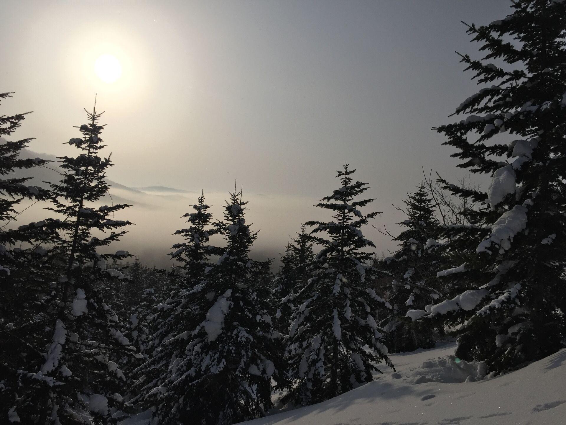 A thin sun above snow-covered trees and low clouds stretching into the distance