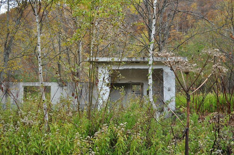 The abandoned shell of building in some tall grass, with a forested hill behind