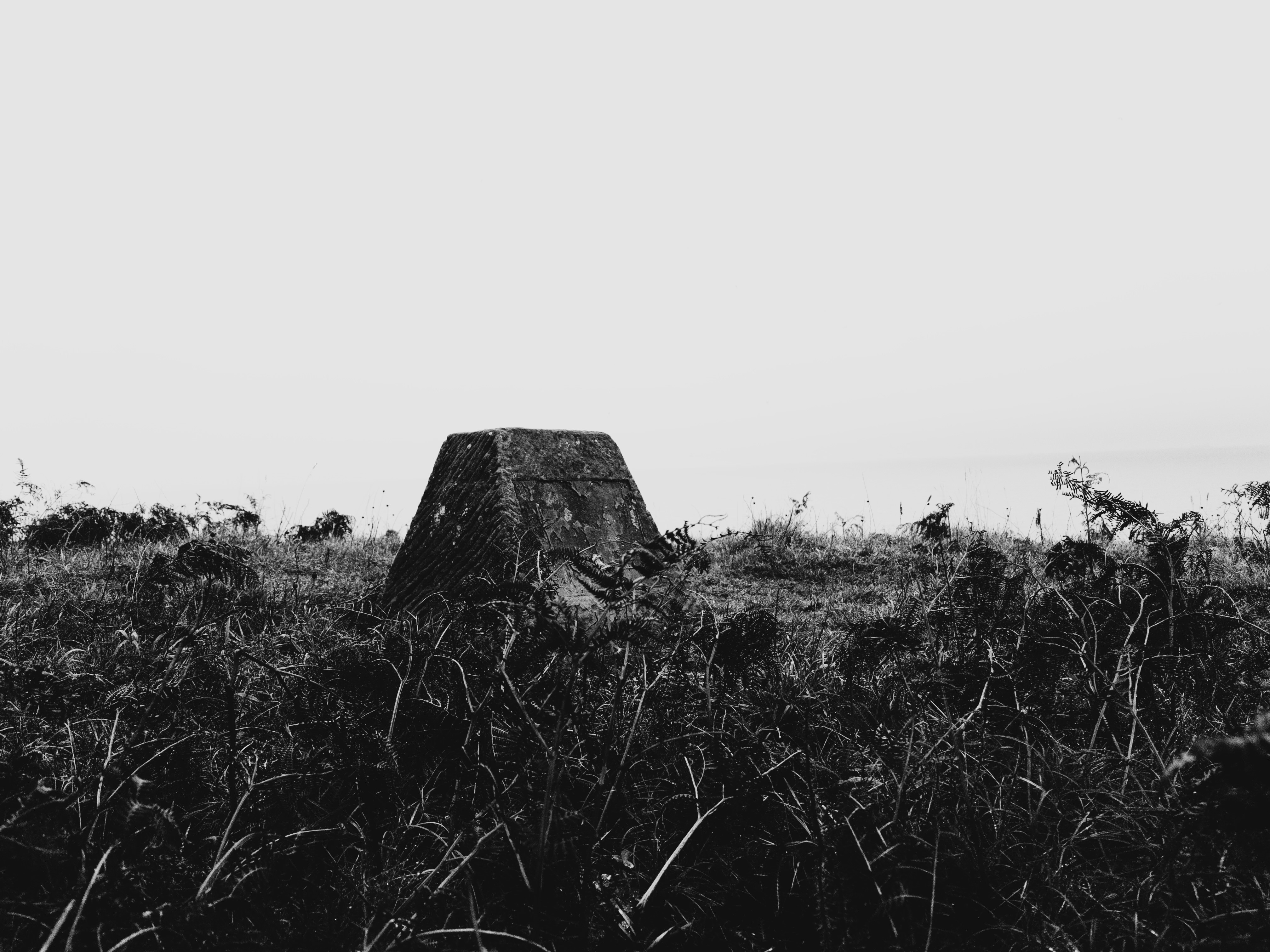 A black and white image of a weathered concrete marker surrounded by low bracken, with an overcast sky in the background.