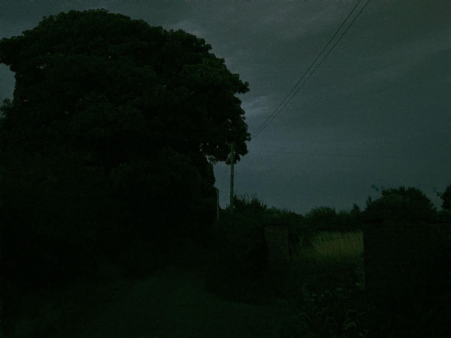 Silhouette of a large tree beside a country lane at dusk, with power lines crossing a dim overcast sky and a brick gatepost in the distance.