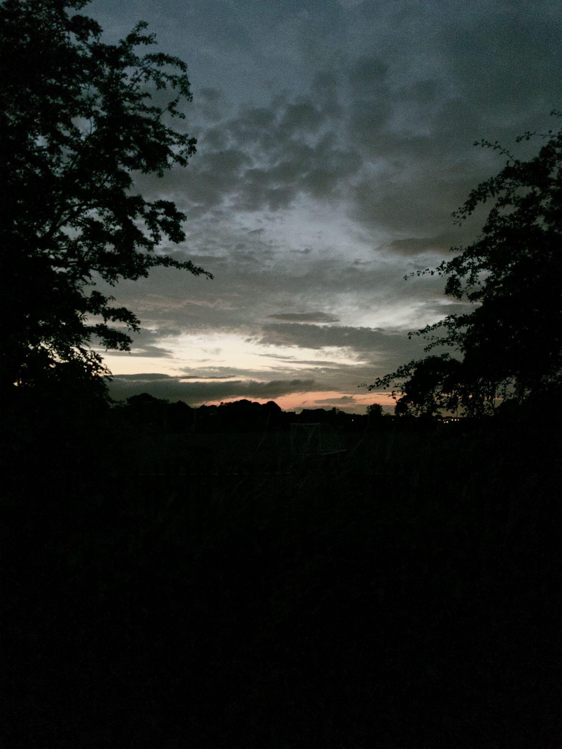 Trees frame a darkening sky at sunset, with faint orange and pink light glowing along the horizon beneath thick clouds.