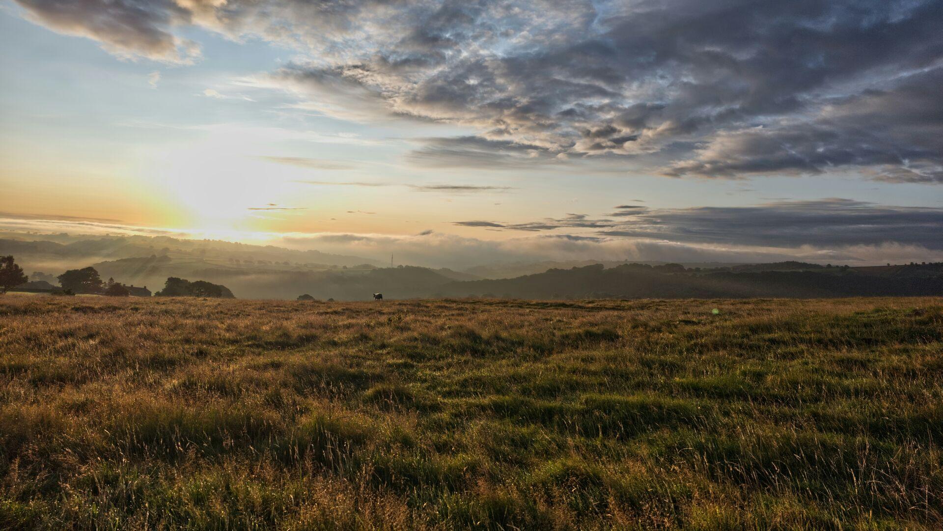 A grouse moor at sunrise, featuring rolling hills shrouded in mist and a grassy field in the foreground. The sky is filled with soft clouds and there is a light fog in the dales.