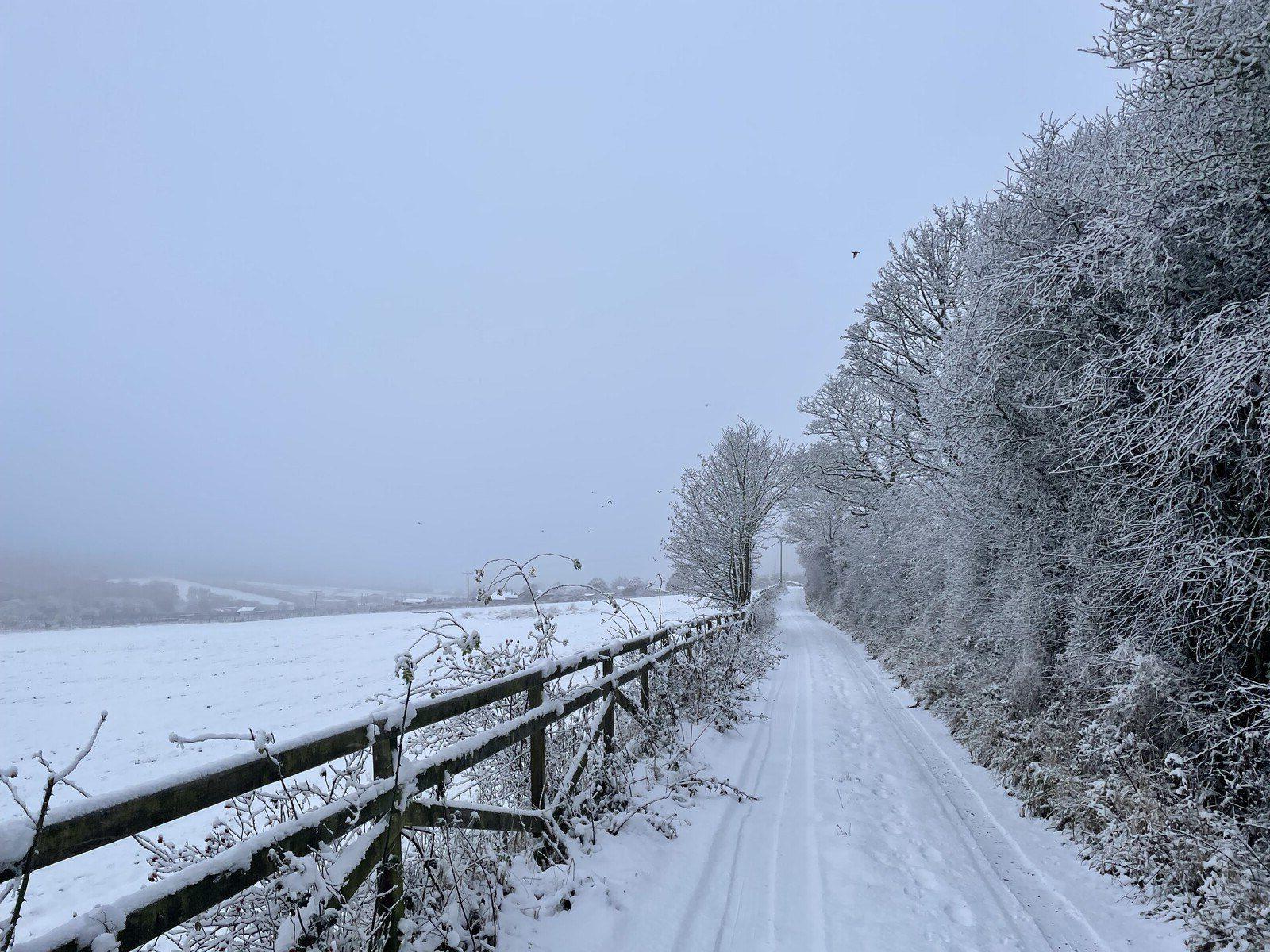 A snowy track with leafless trees on the right; on the left, a fence with a field beyond, and some hills rising in the fog.