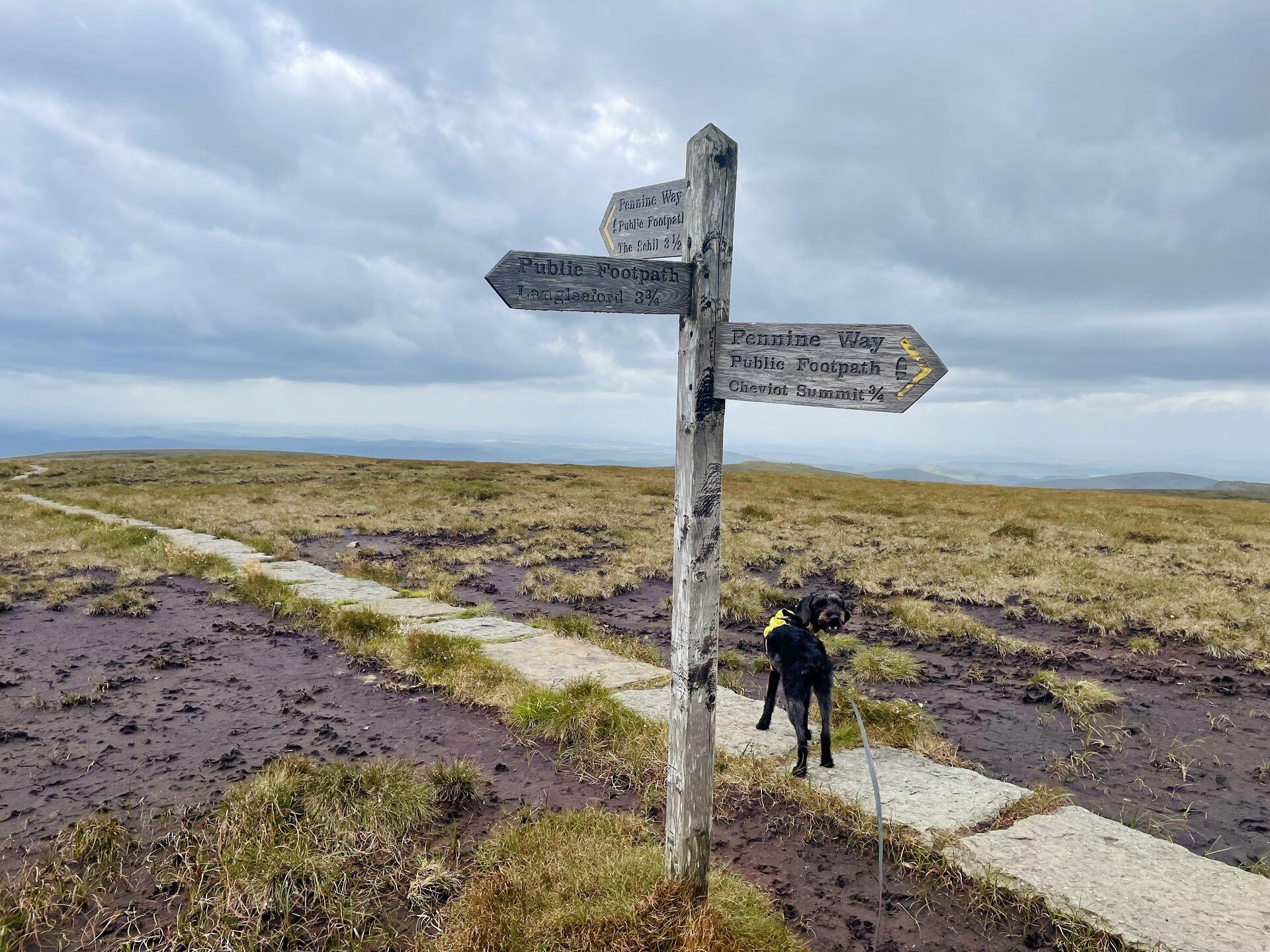 A wooden sign marked for the Pennine Way, stood in a sea of black peat hags and with a flagstone path leading off into the distance off-frame left