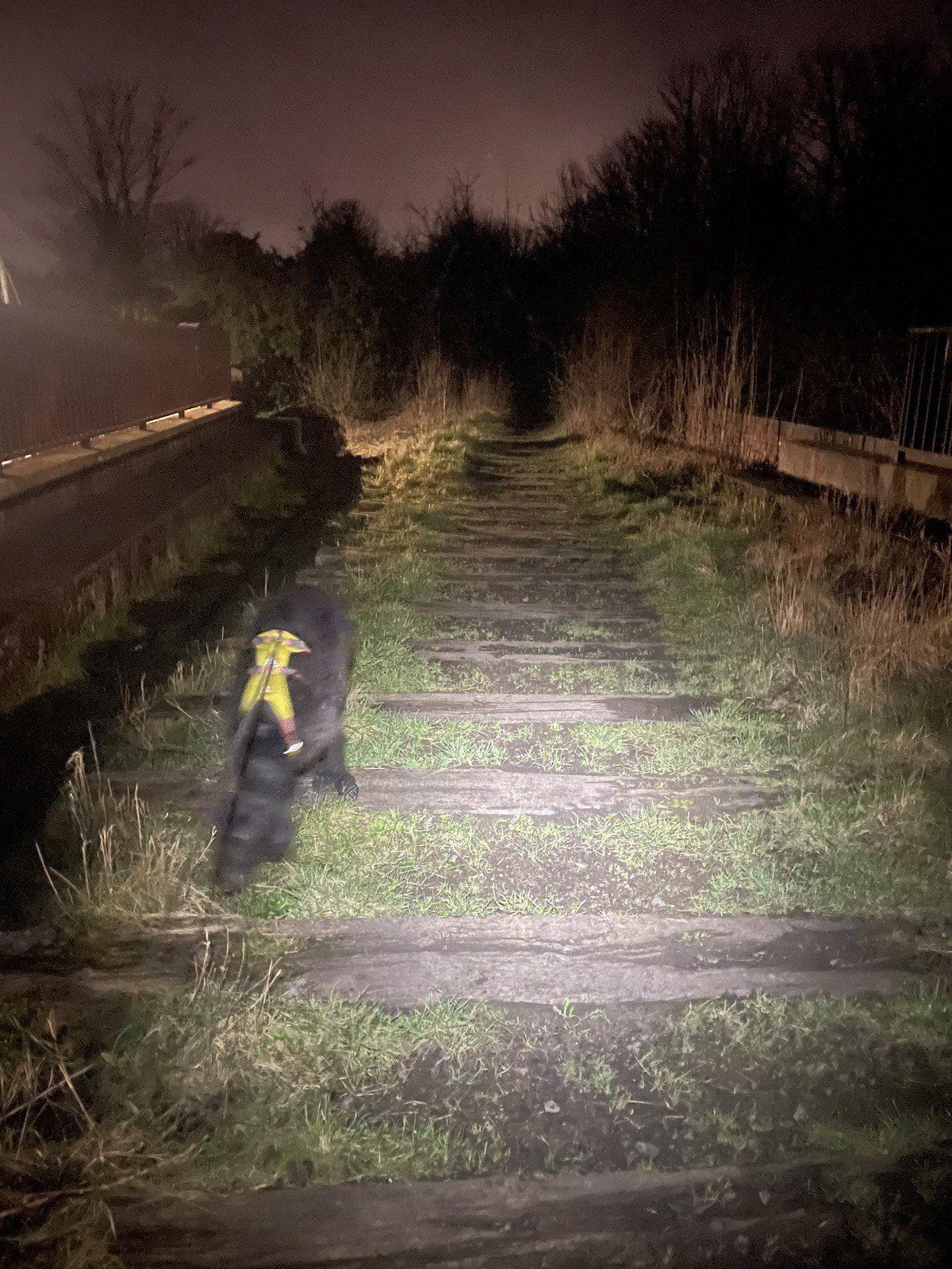Ghyll, blurry, walking across old railway ties, with grass and mud in between and hedges growing on the verges of the old tracks, no rails to be seen.