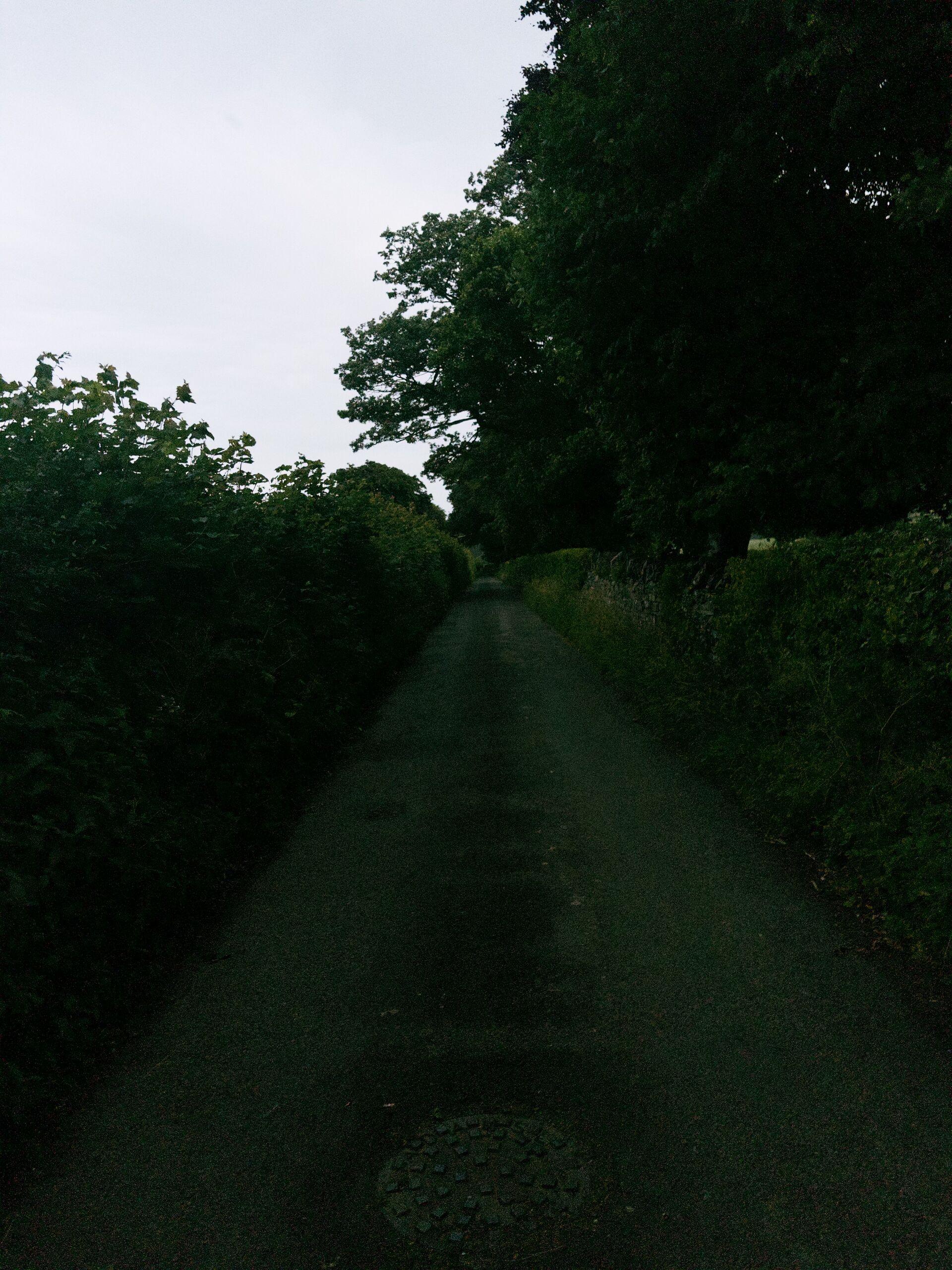 A narrow tarmac lane lined on both sides by dense hedges and trees, receding into the distance under an overcast sky.
