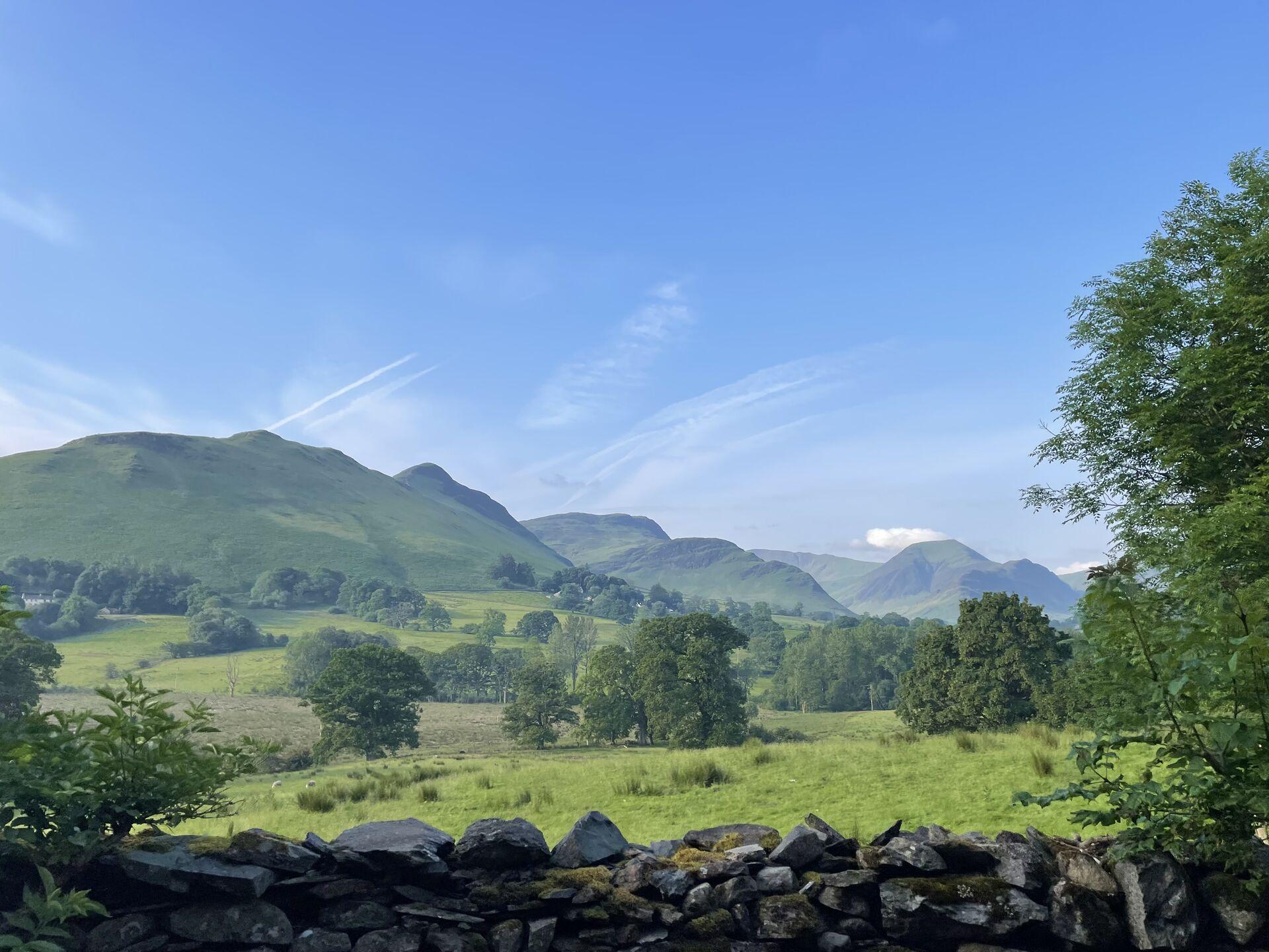 Clear blue skies over the green fells and scattered trees in the fields below Cat Bells and Maiden Moor