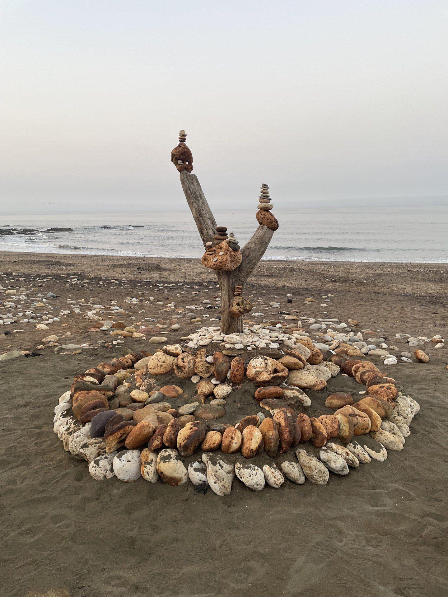 A piece of driftwood, stood upright, with piles of small flat stones balanced on the branches