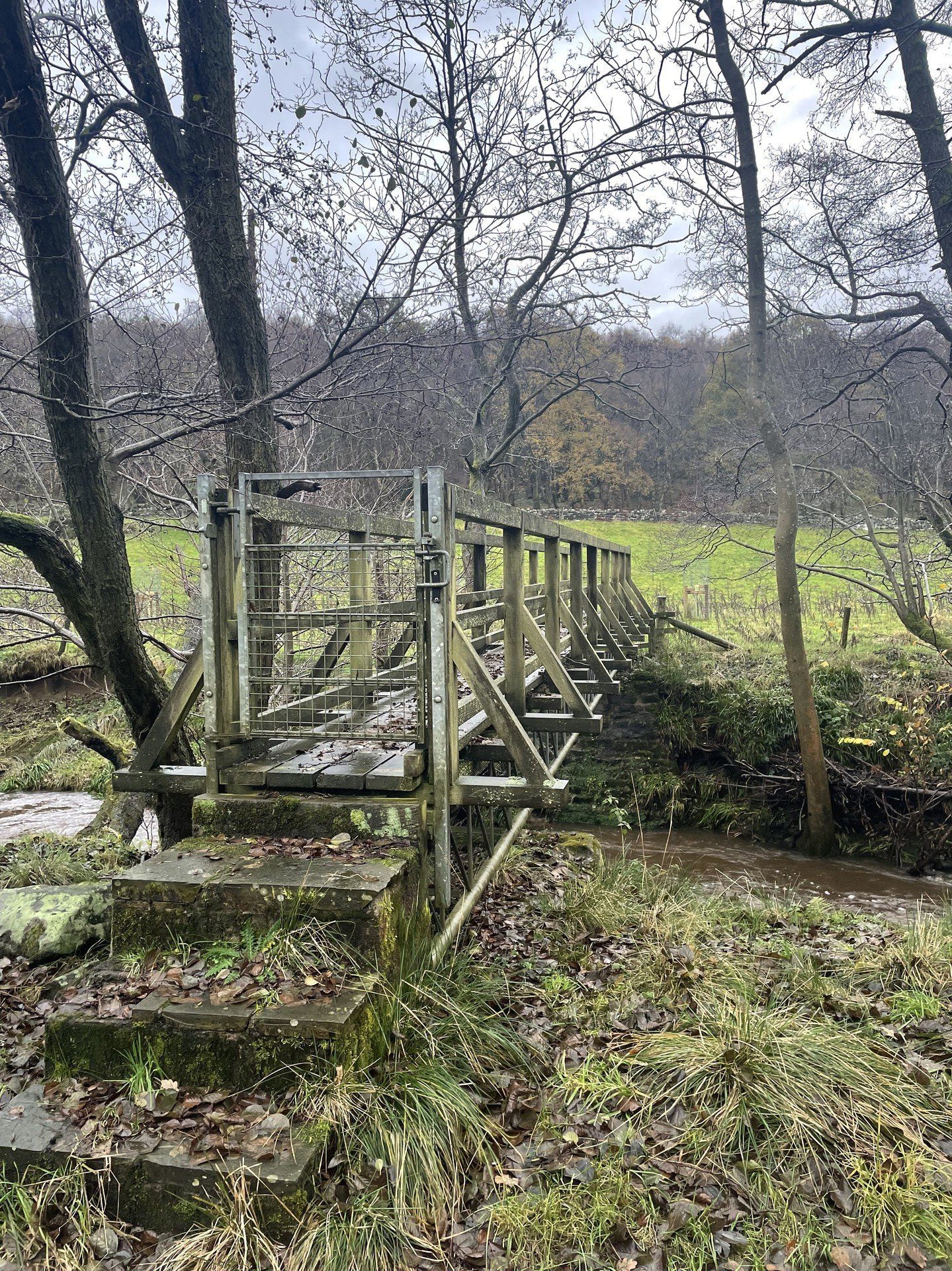 An old footbridge crossing the River Seph, clearly not well-used