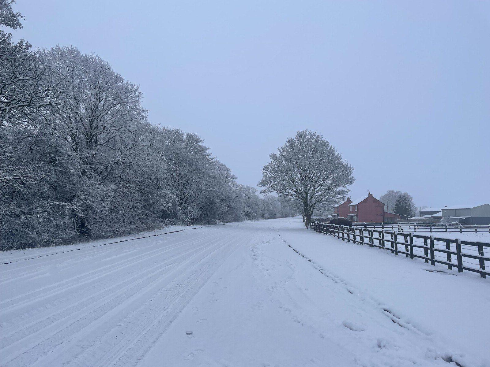 A broad snowy road with a forest on the left, an old brick house behind a wooden fence on the right