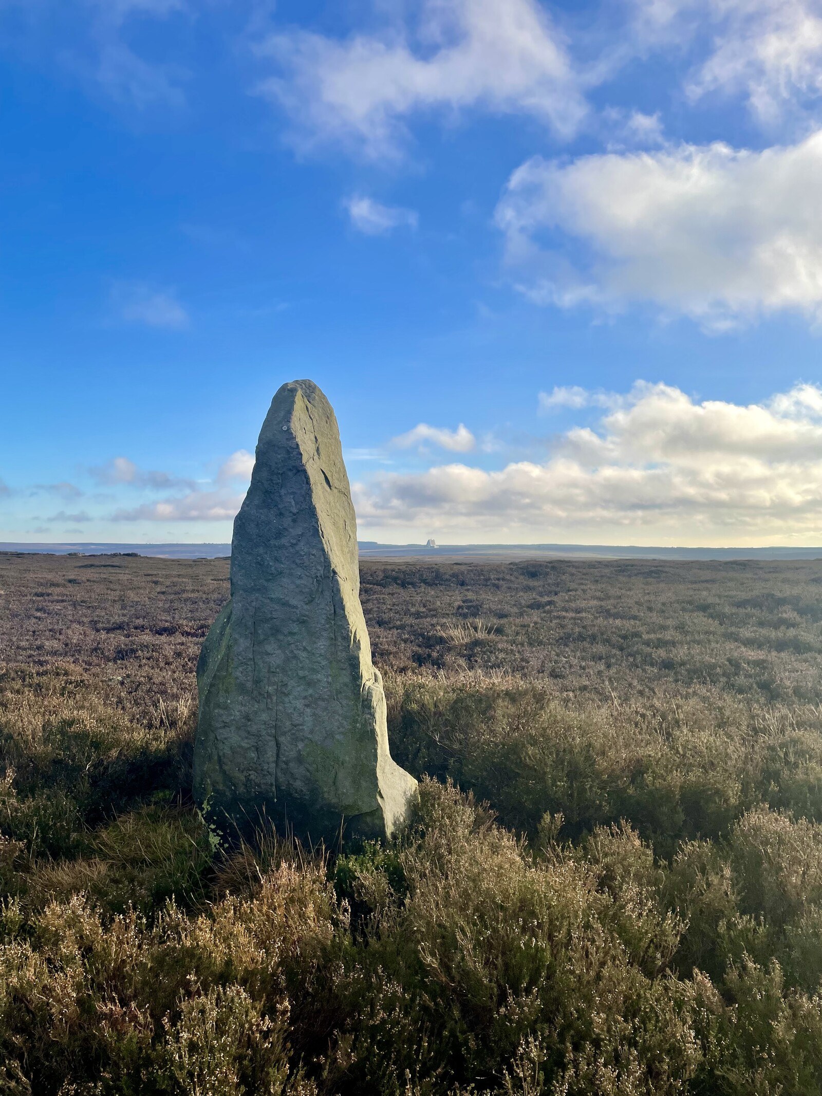The standing stone on Simon Howe, roughly triangular and standing in a massive field of heather