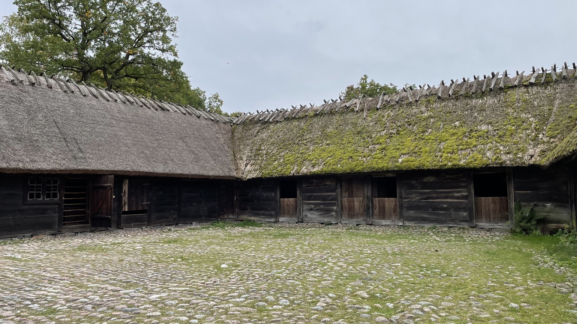 The yard of an old countryside farmstead, with grass and weeds growing out of the roof and amid the cobbles