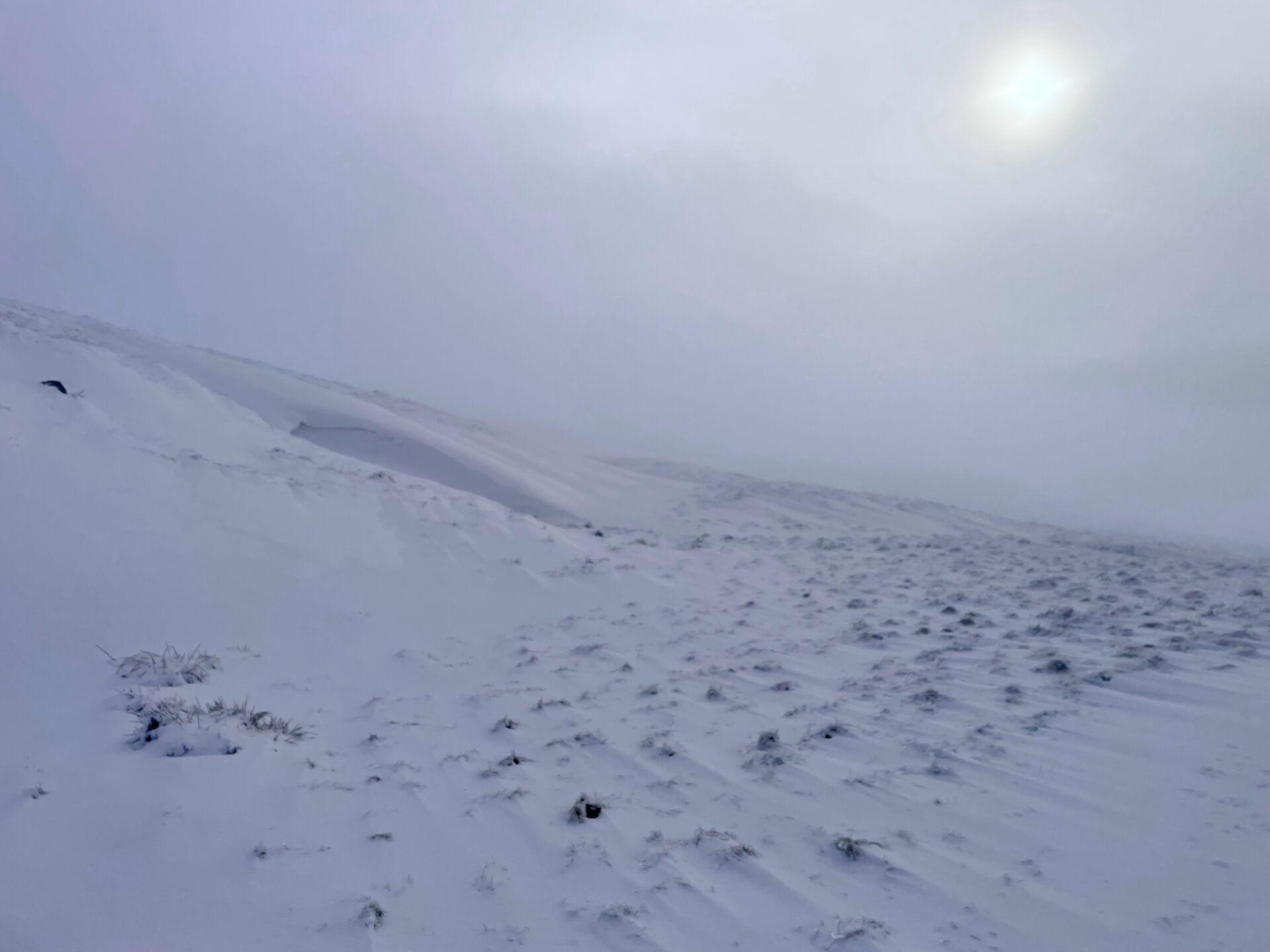 A snowy landscape under an overcast sky, shrouded in fog. The ground is covered in thick snow, with gentle undulations and sparse patches of grass visible. The light is dim, suggesting a muted sun peeking through the clouds. The overall atmosphere is one of quiet and stillness, evoking a remote and wintry environment.