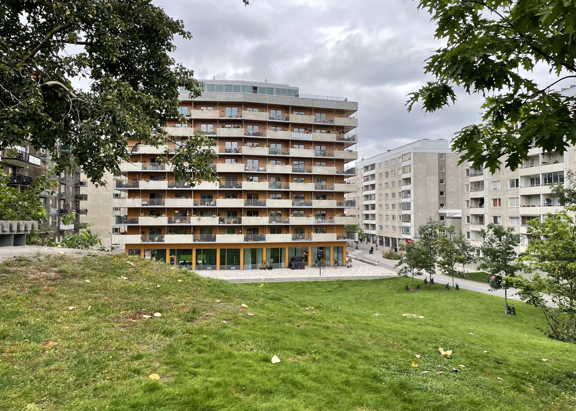 A green hillside nestled between midrise apartment buildings.