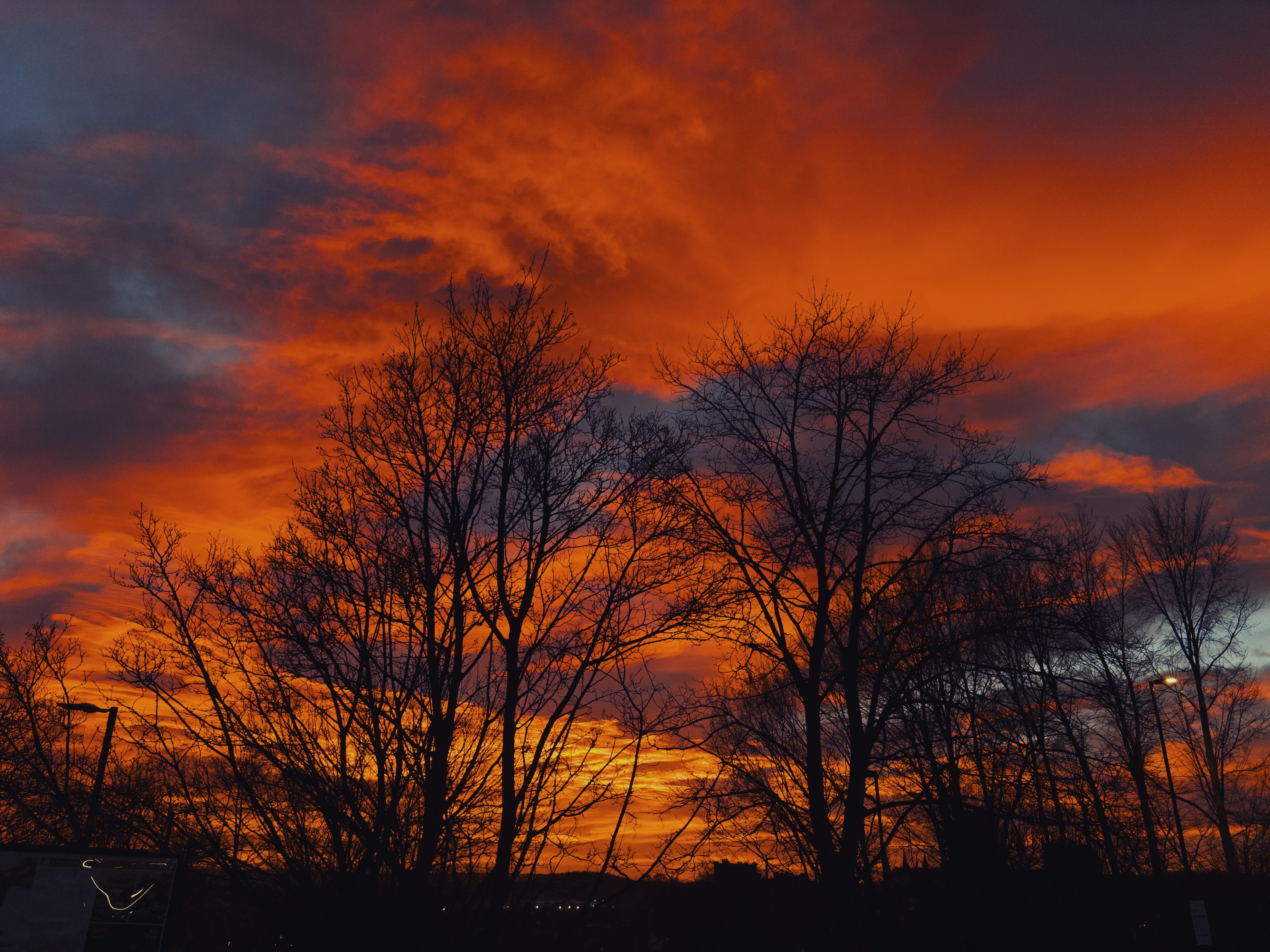 A vivid sunrise viewed through bare trees, bright orange sunlight on purpley clouds.