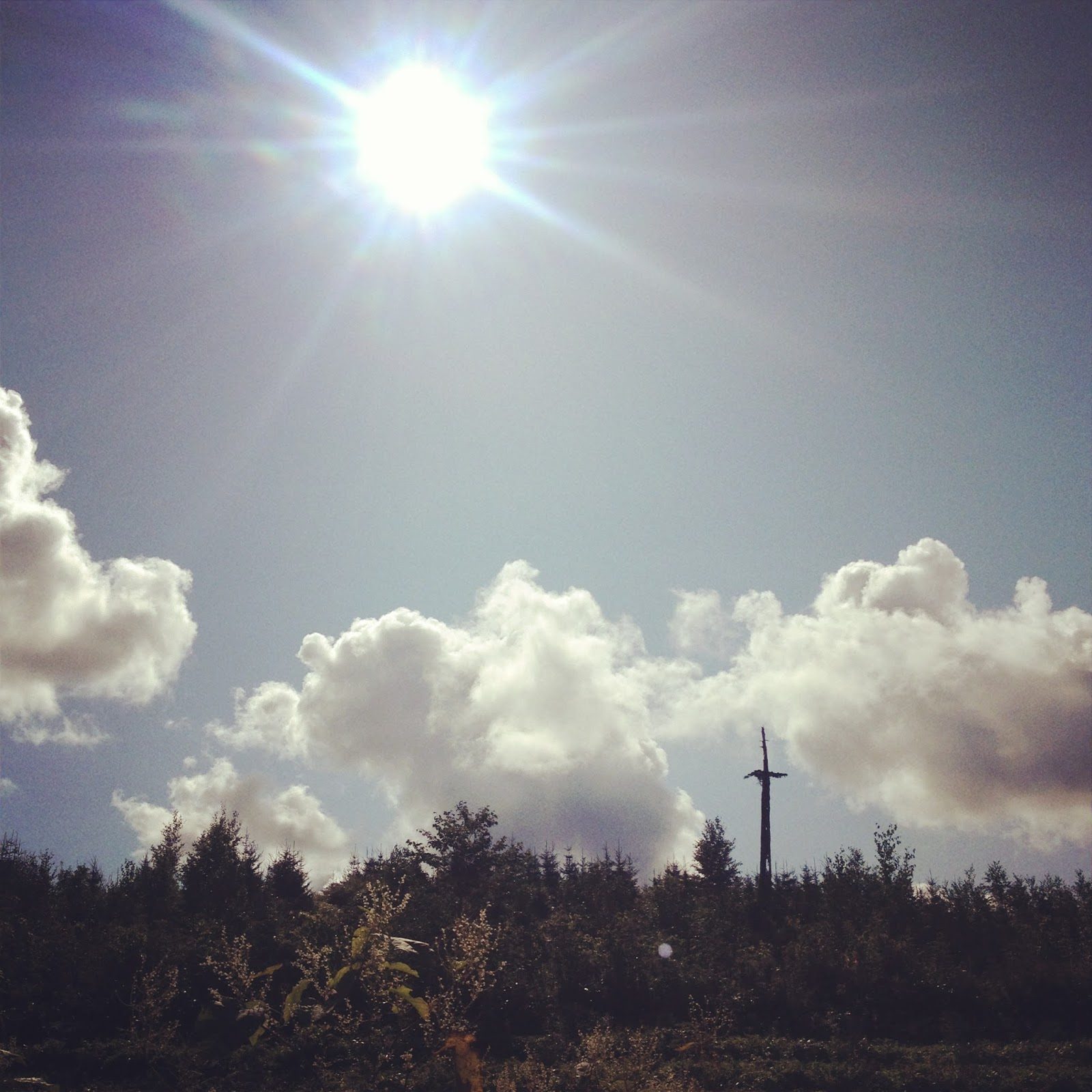 The sun shining out of a blue sky, with some close-up trees and a curiously cross-shaped dead trunk sticking up from the forest into the sky