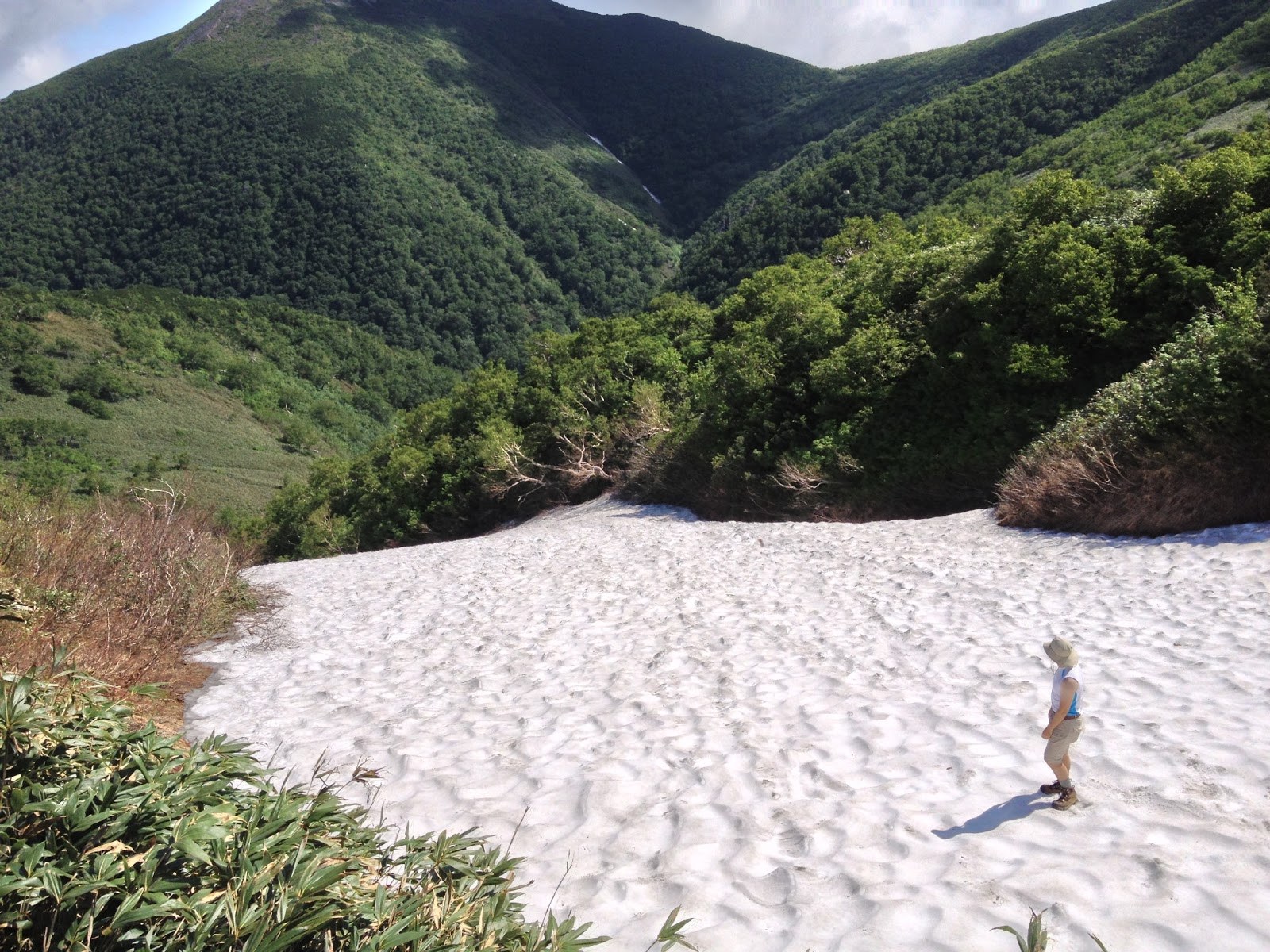 My friend Tony standing on a field of snow left over from the winter in a little ravine, looking down the slopes of Teshio-dake.