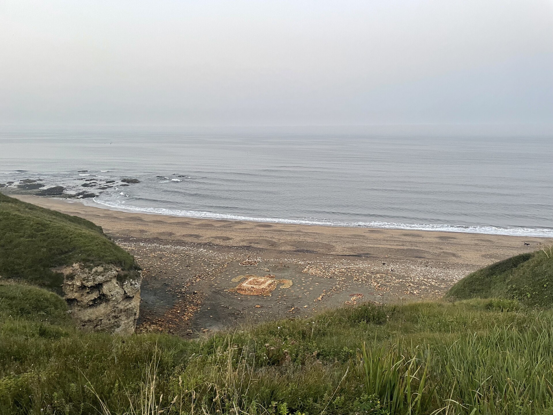 A view of the sea turtle from the cliffs above the beach, with the sea stretching off into the distance