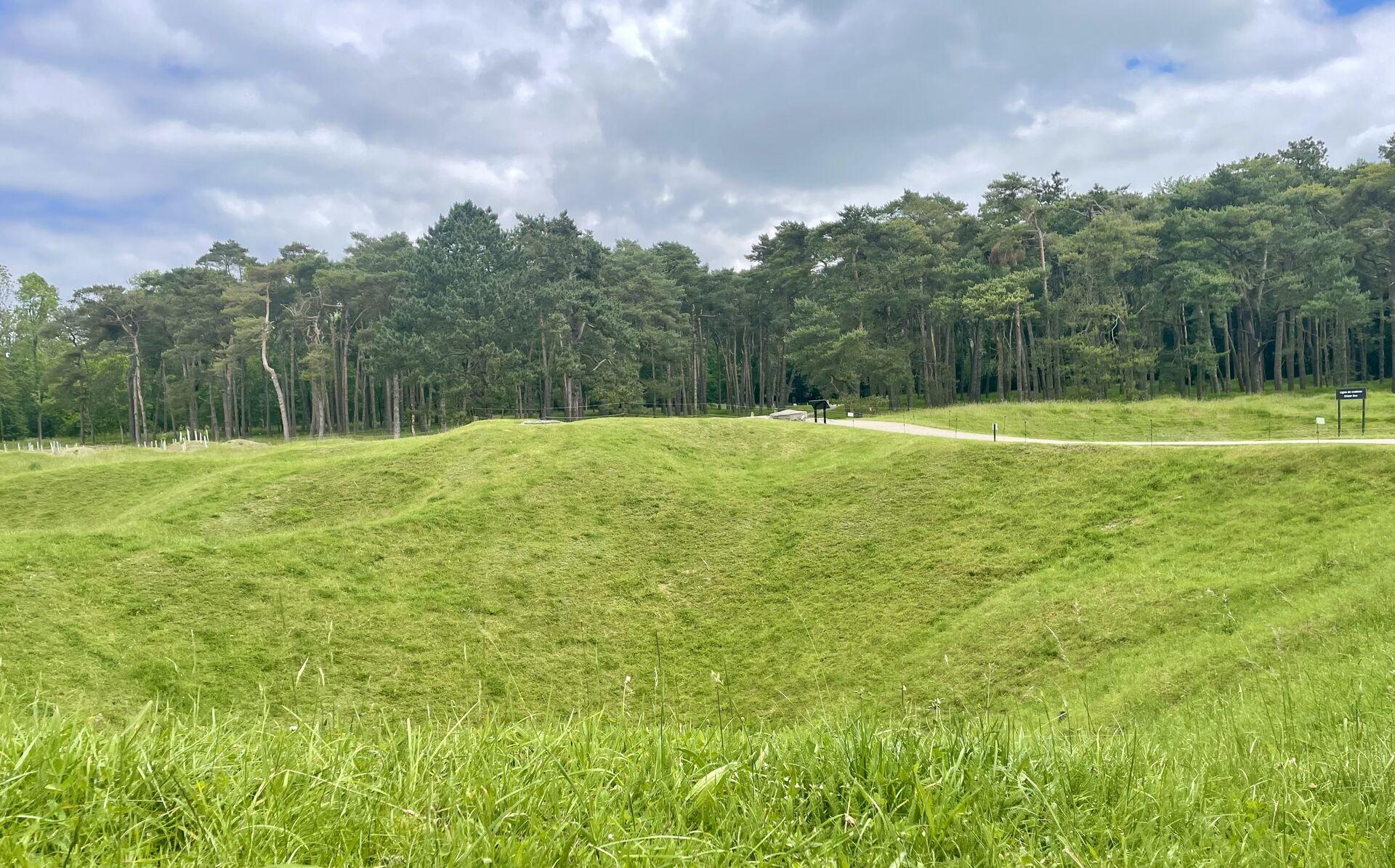 A massive grassy crater, with similarly cratered ground stretching off on either side, with the edge of a gnarled pine forest in the background