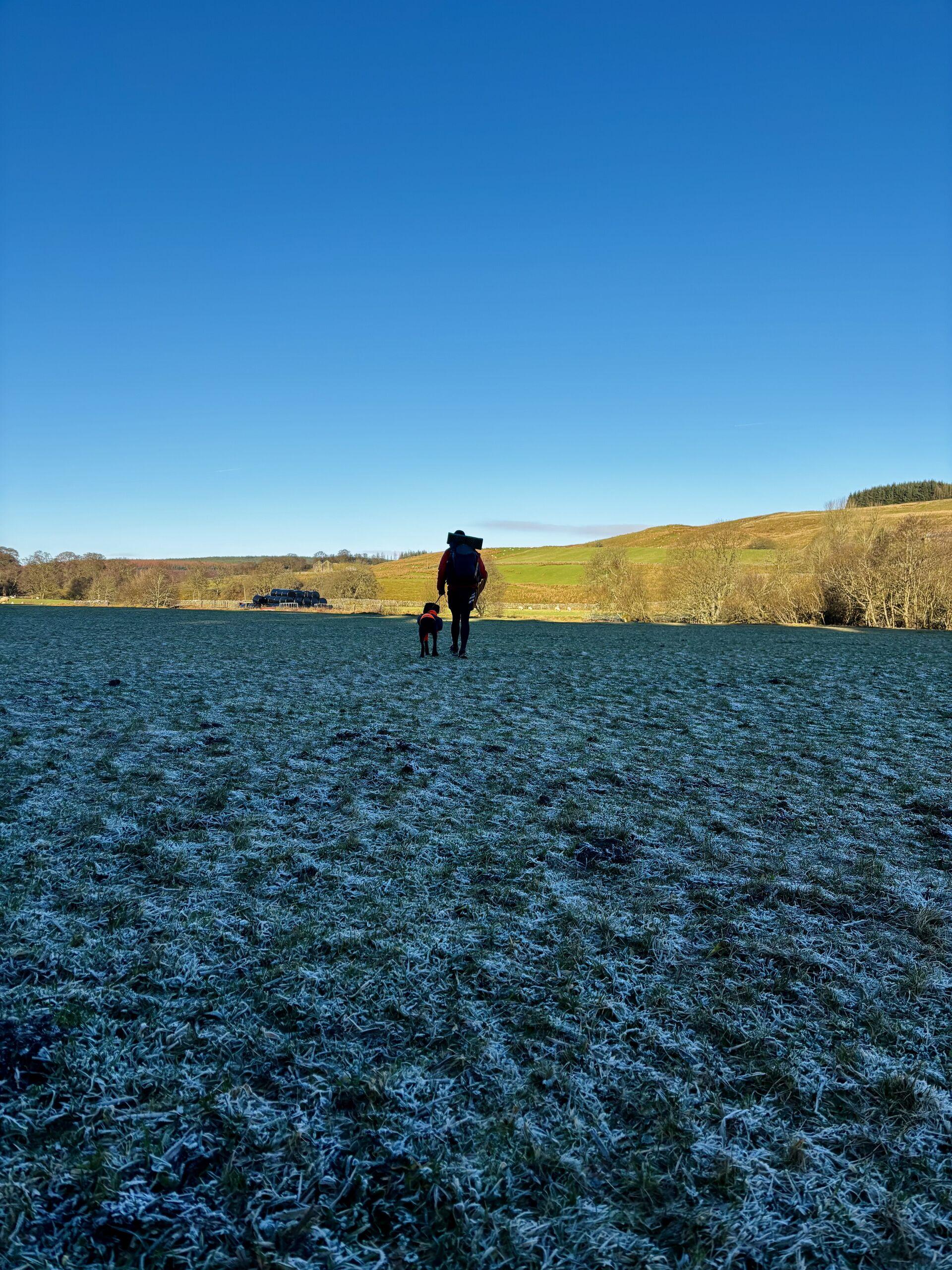 A man and a dog walking across a grassy field, with rolling hills and blue sky beyond