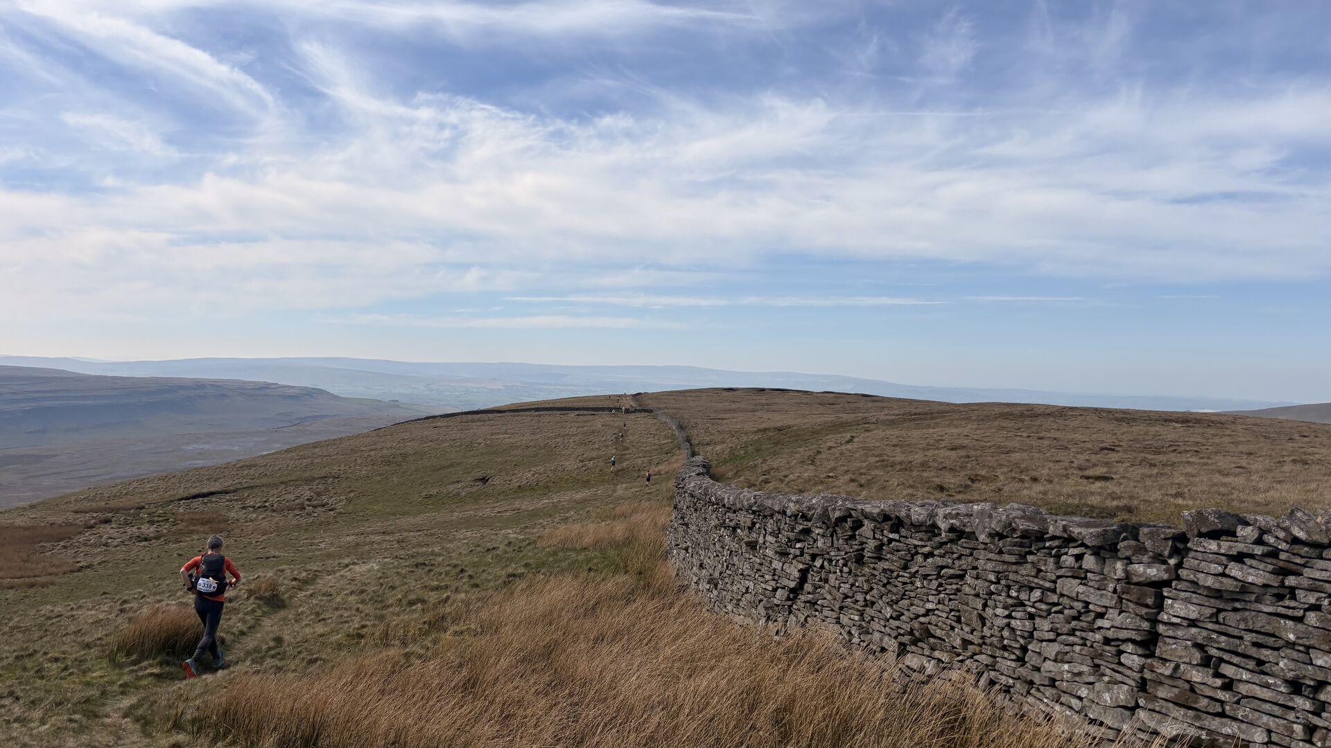 A stone wall snaking over a grassy moor under a blue sky with wispy white clouds, a runner in the foregound