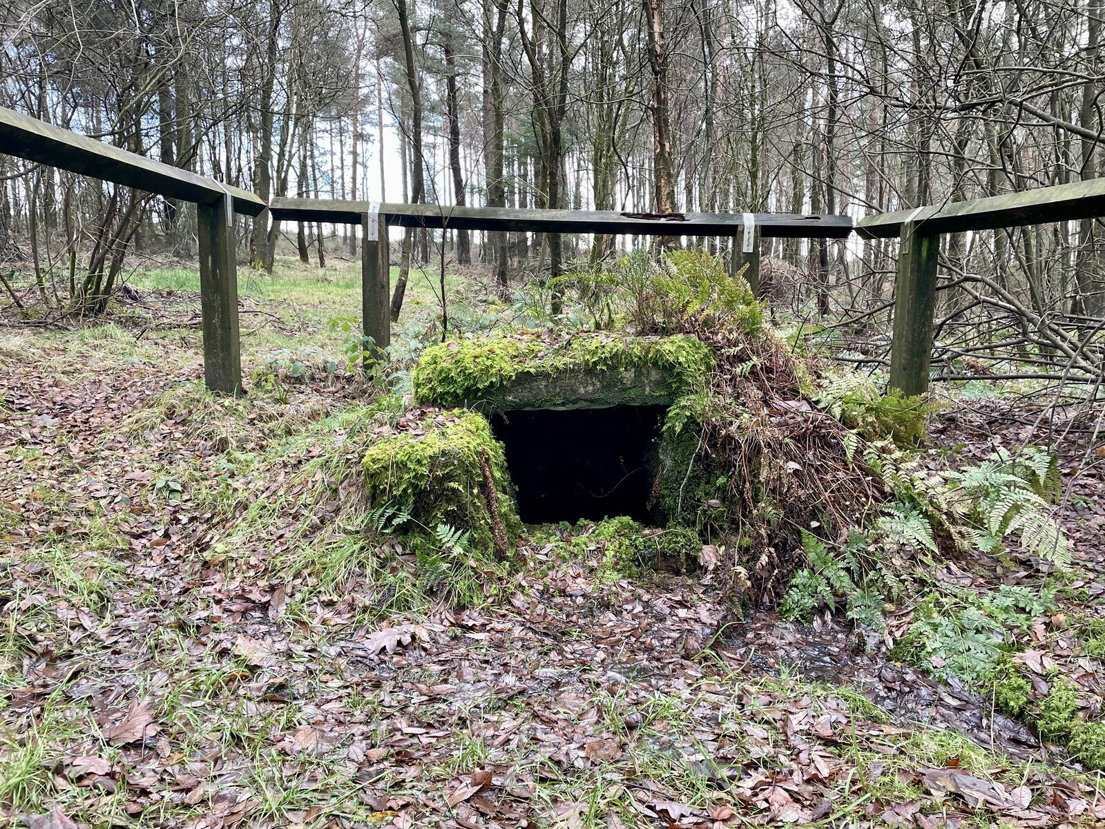 A closer-up view of the well, moss growing thick on the stones and lintel covering the spring