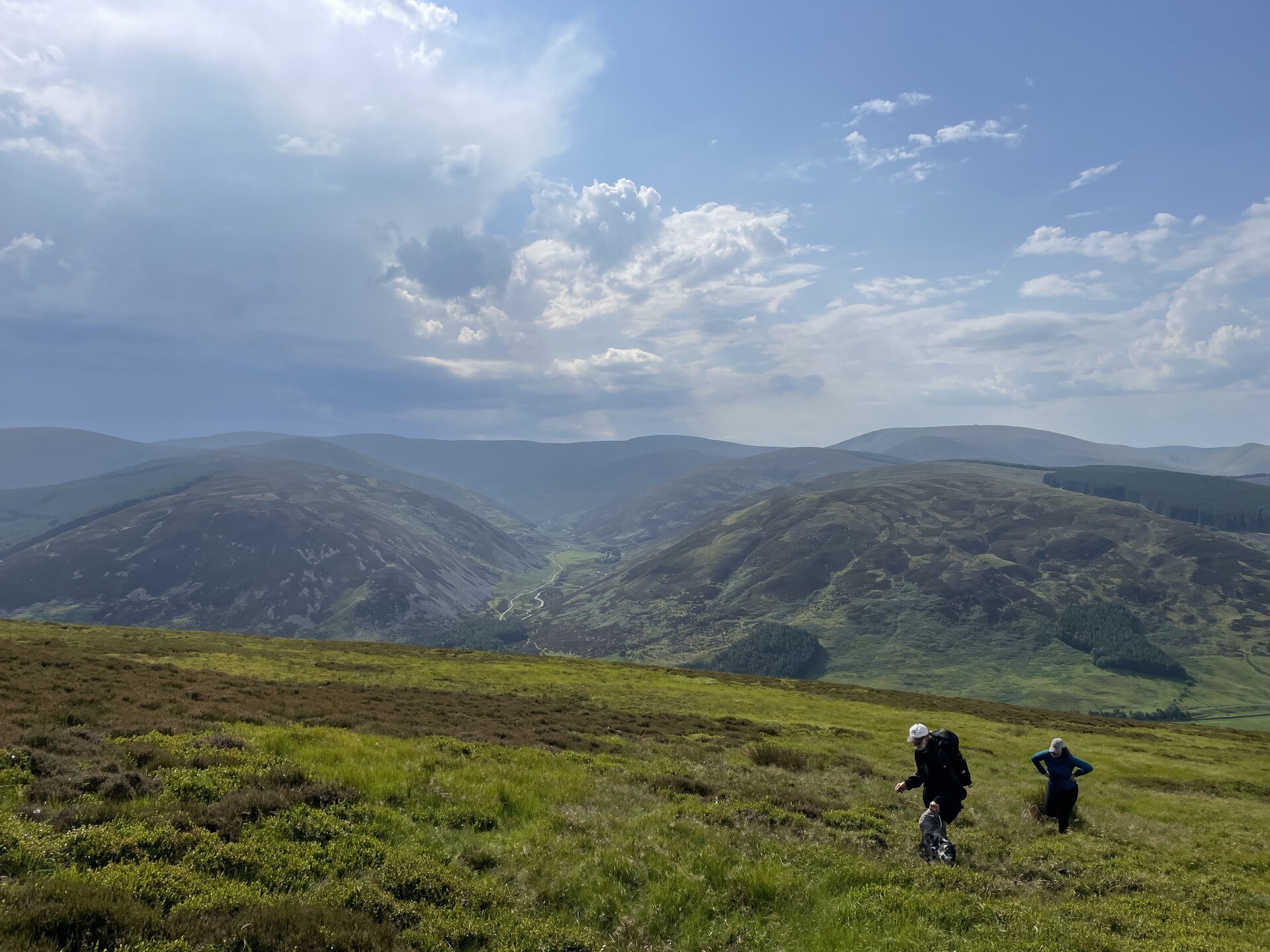 Looking up Stanhope Glen from the side of Worm Hill, a little burn runs down a smooth valley opposite the grassy flank of the mountain.