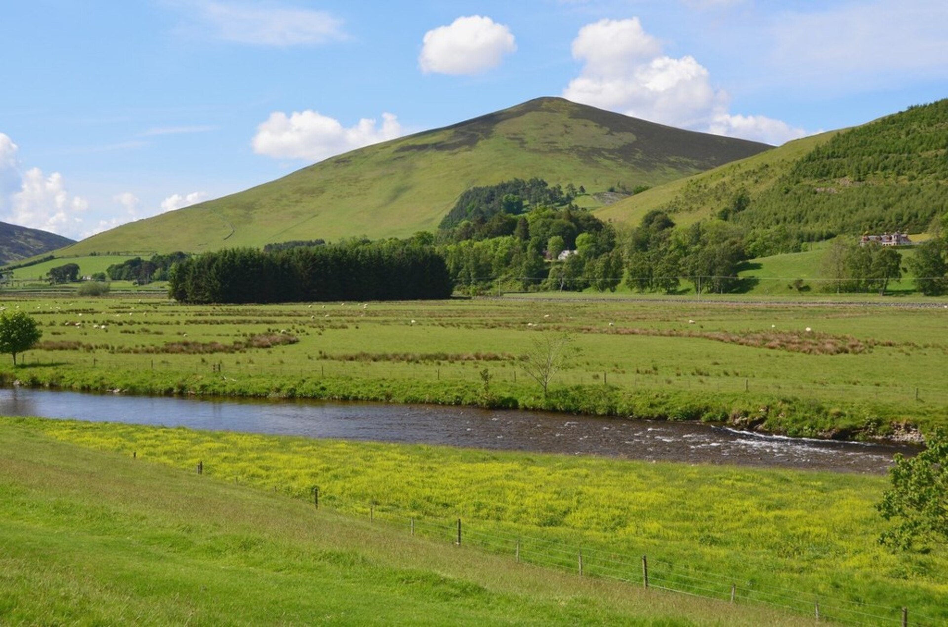 A broad, conical, lushly green Worm Hill over the quiet River Tweed