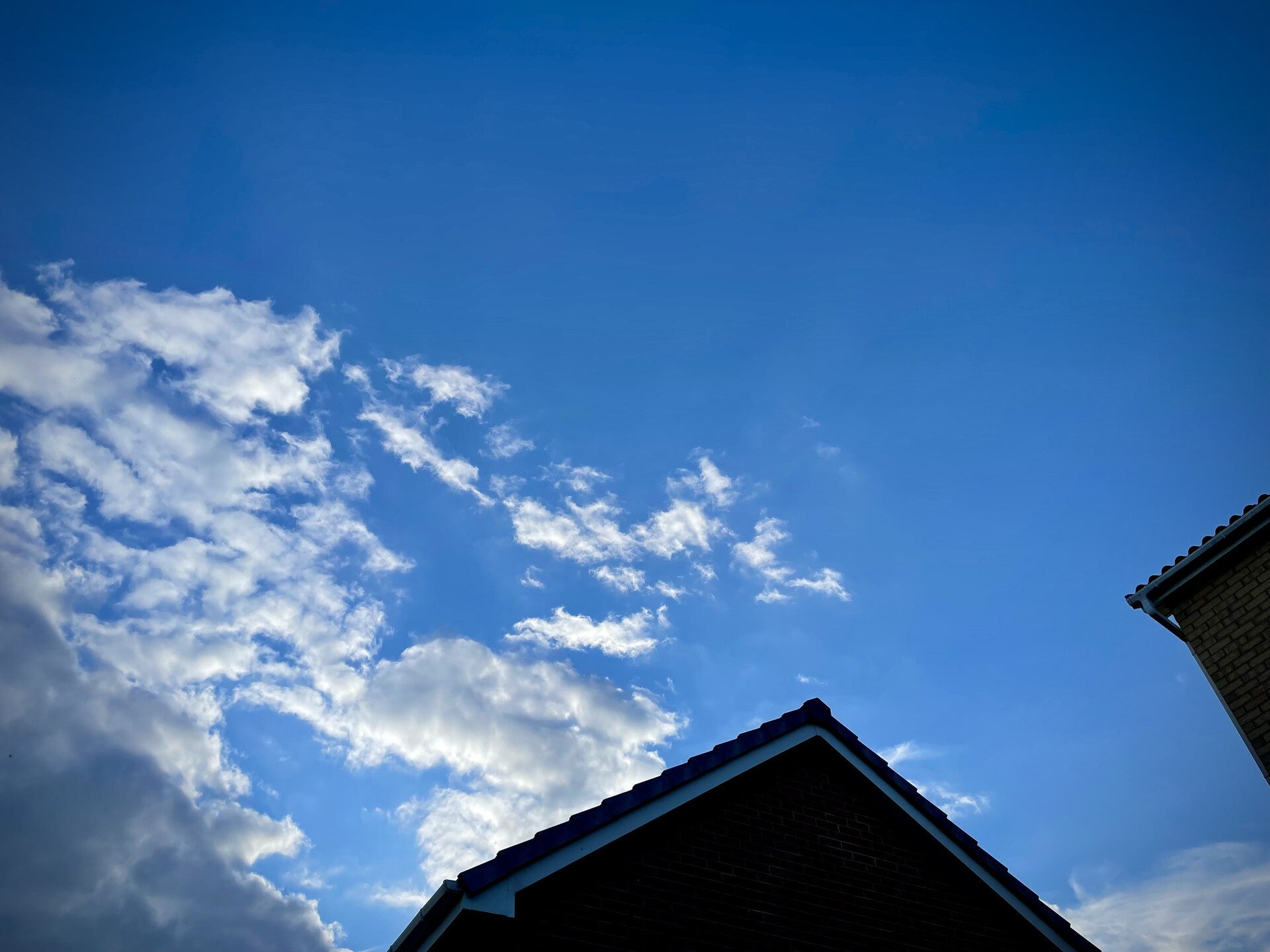 The sky above my backyard, with a few scattered clouds